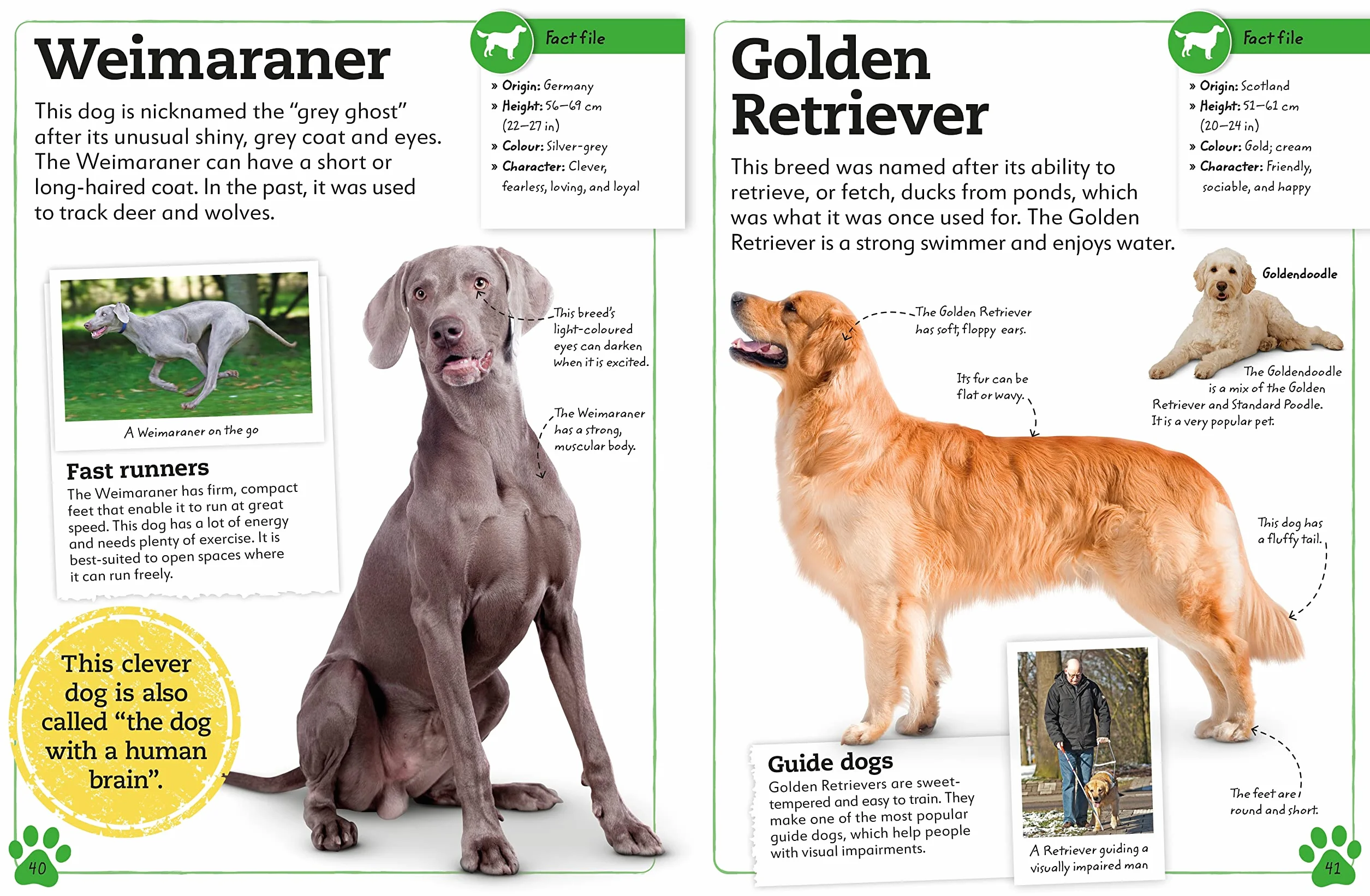 My Book of Dogs and Puppies: A Fact-Filled Guide to Your Canine Friends