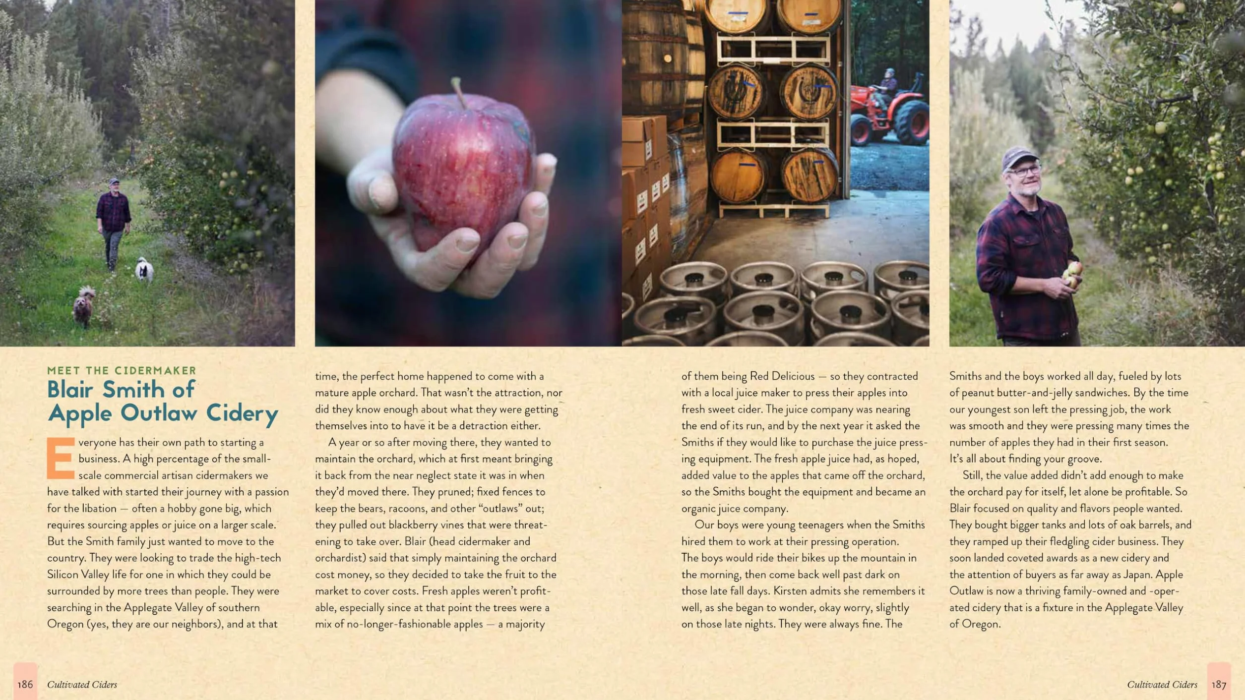 The Big Book of Cidermaking: Expert Techniques for Fermenting and Flavoring Your Favorite Hard Cider