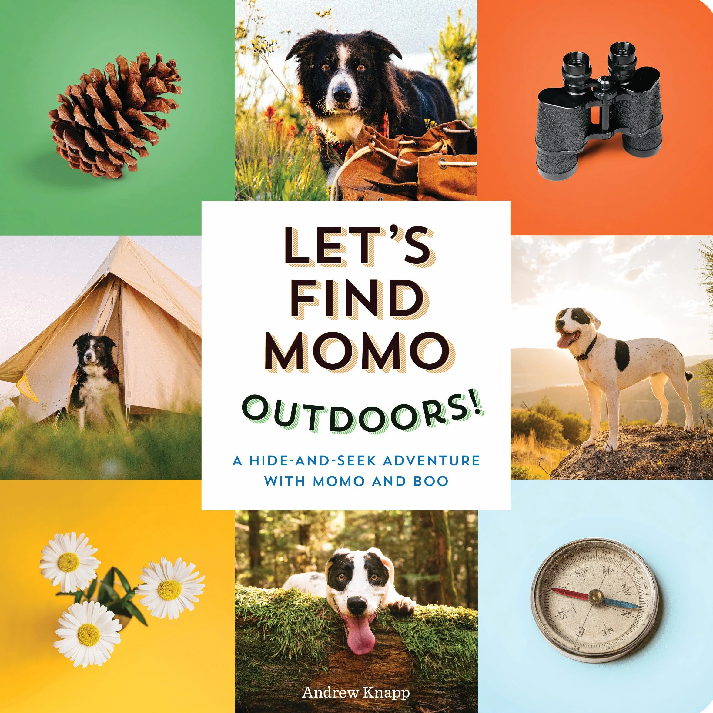 Let's Find Momo Outdoors!: A Hide-and-Seek Adventure with Momo and Boo 5