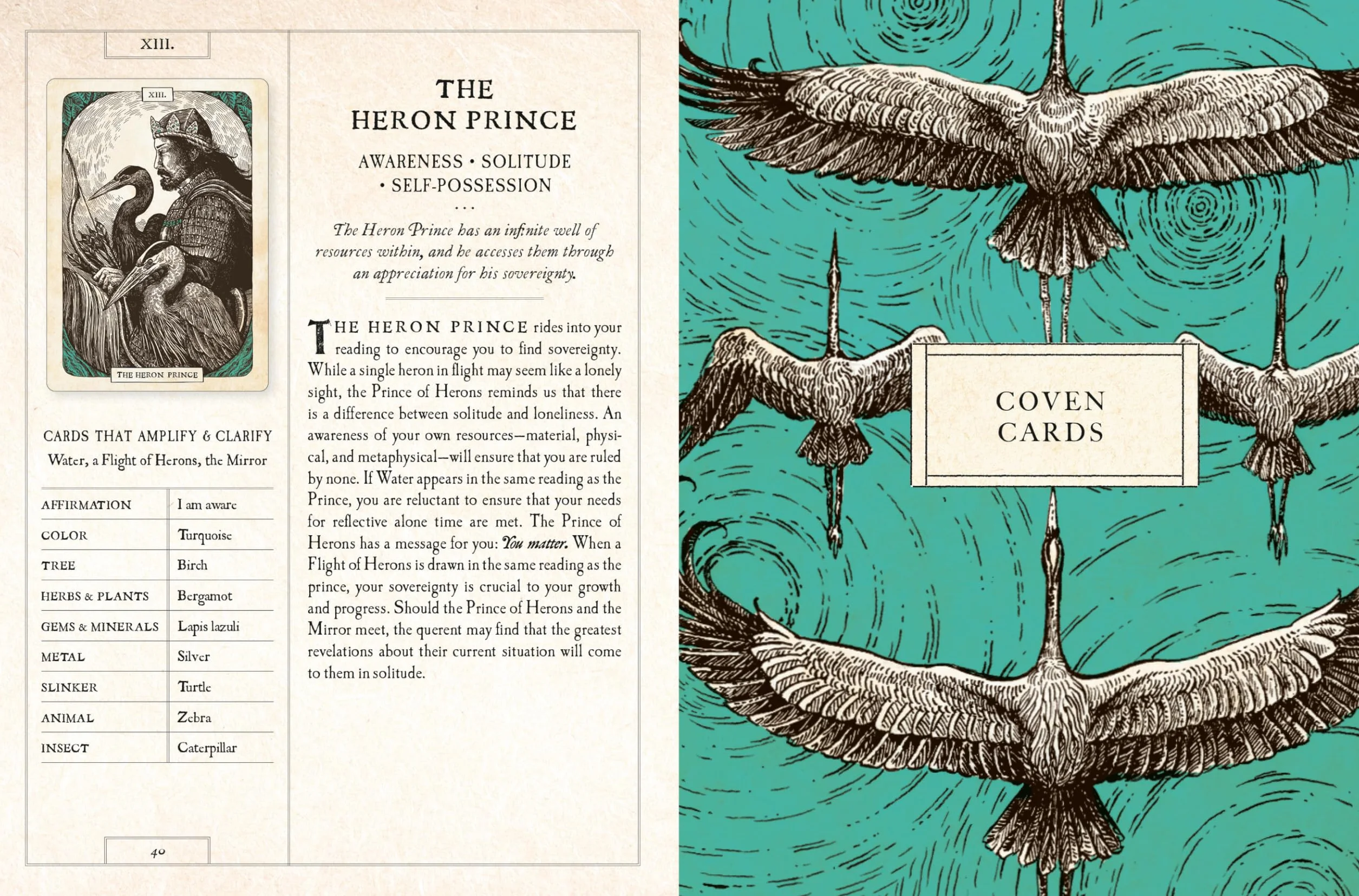 The Black Bird Oracle Deck: 52-Card Deck and Guidebook