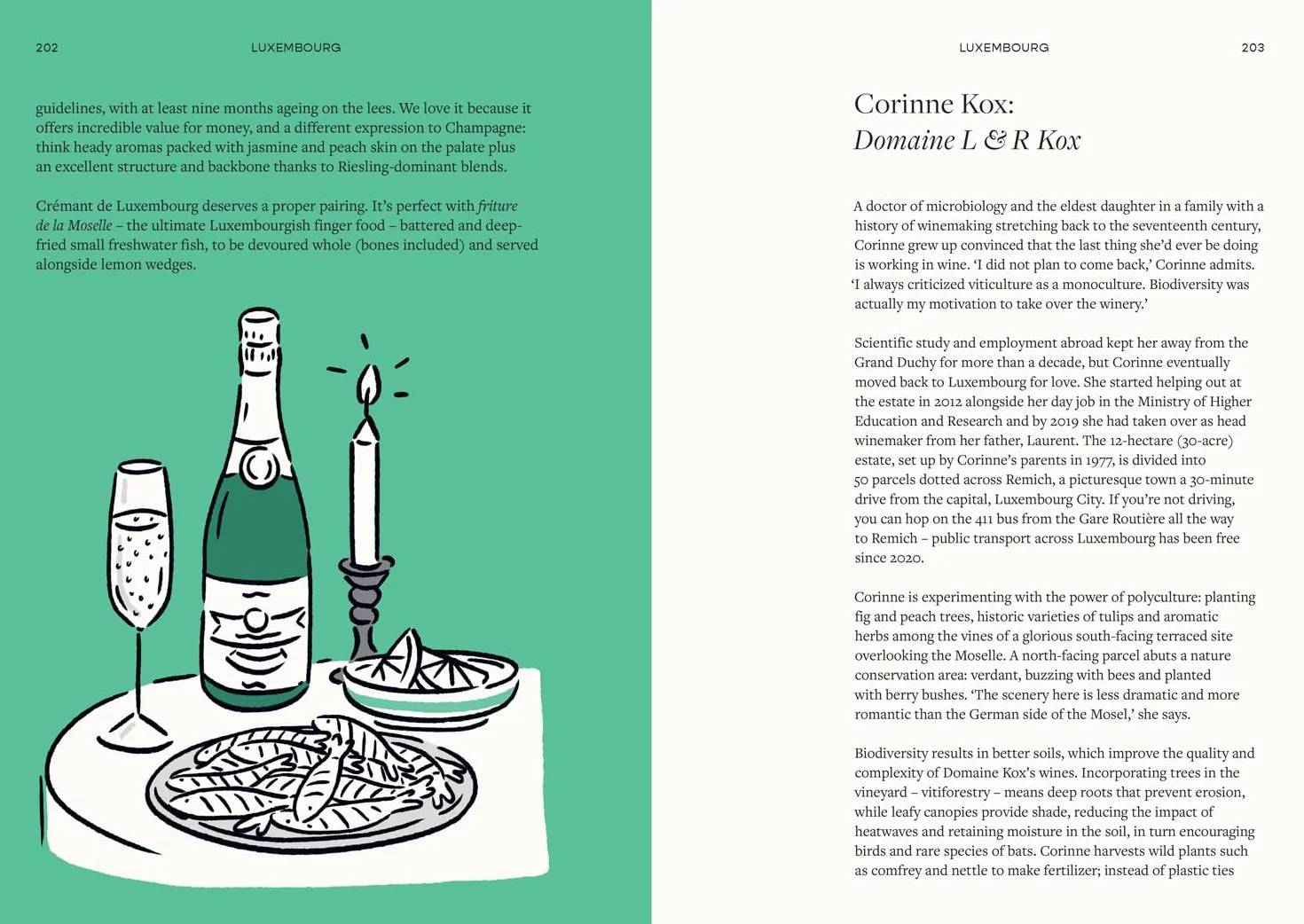 Drinking the World: The exciting new wine and travel odyssey through the world’s hidden gems