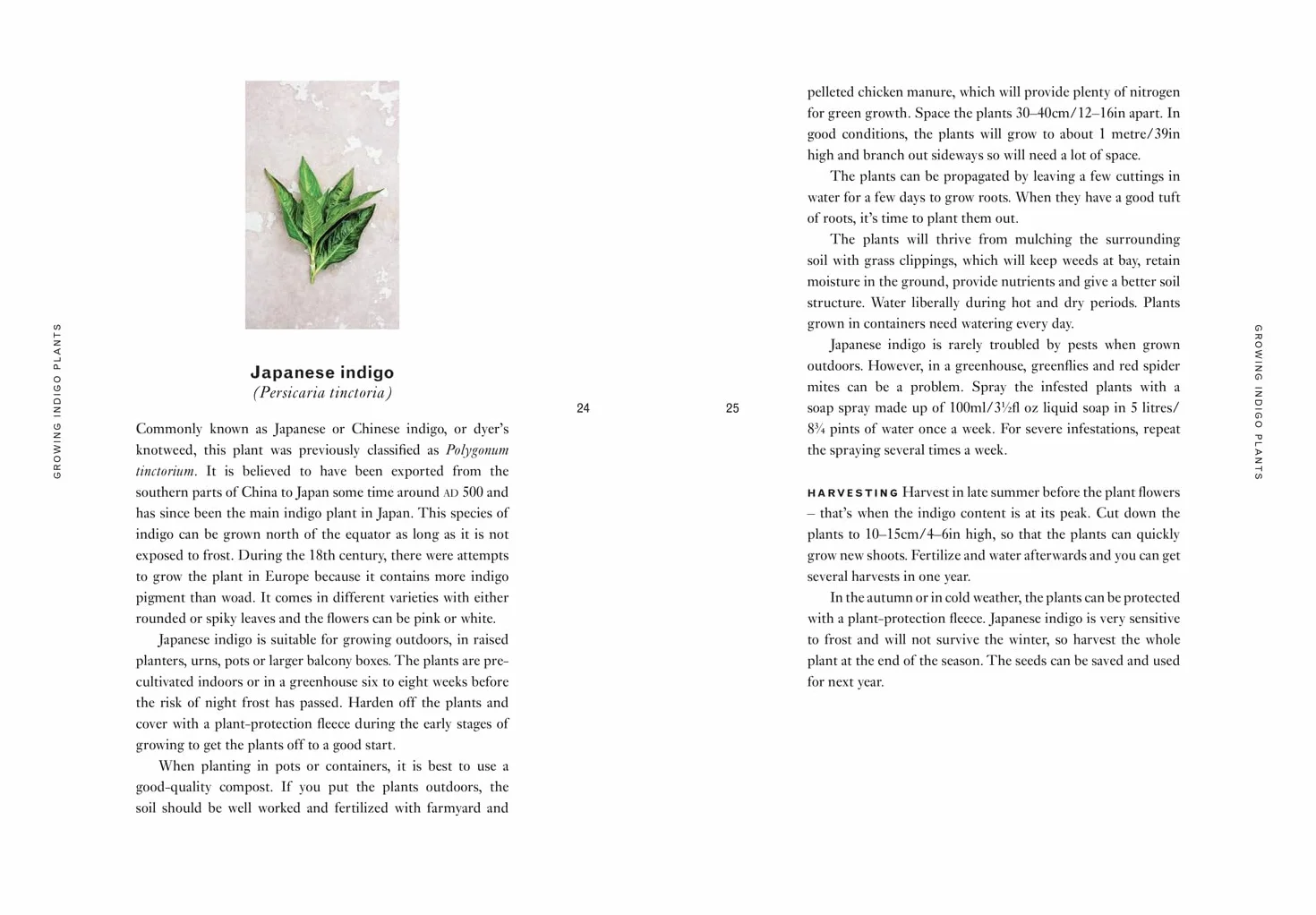 Indigo: An inspiring handbook for mastering the art of natural indigo dye and textile crafts