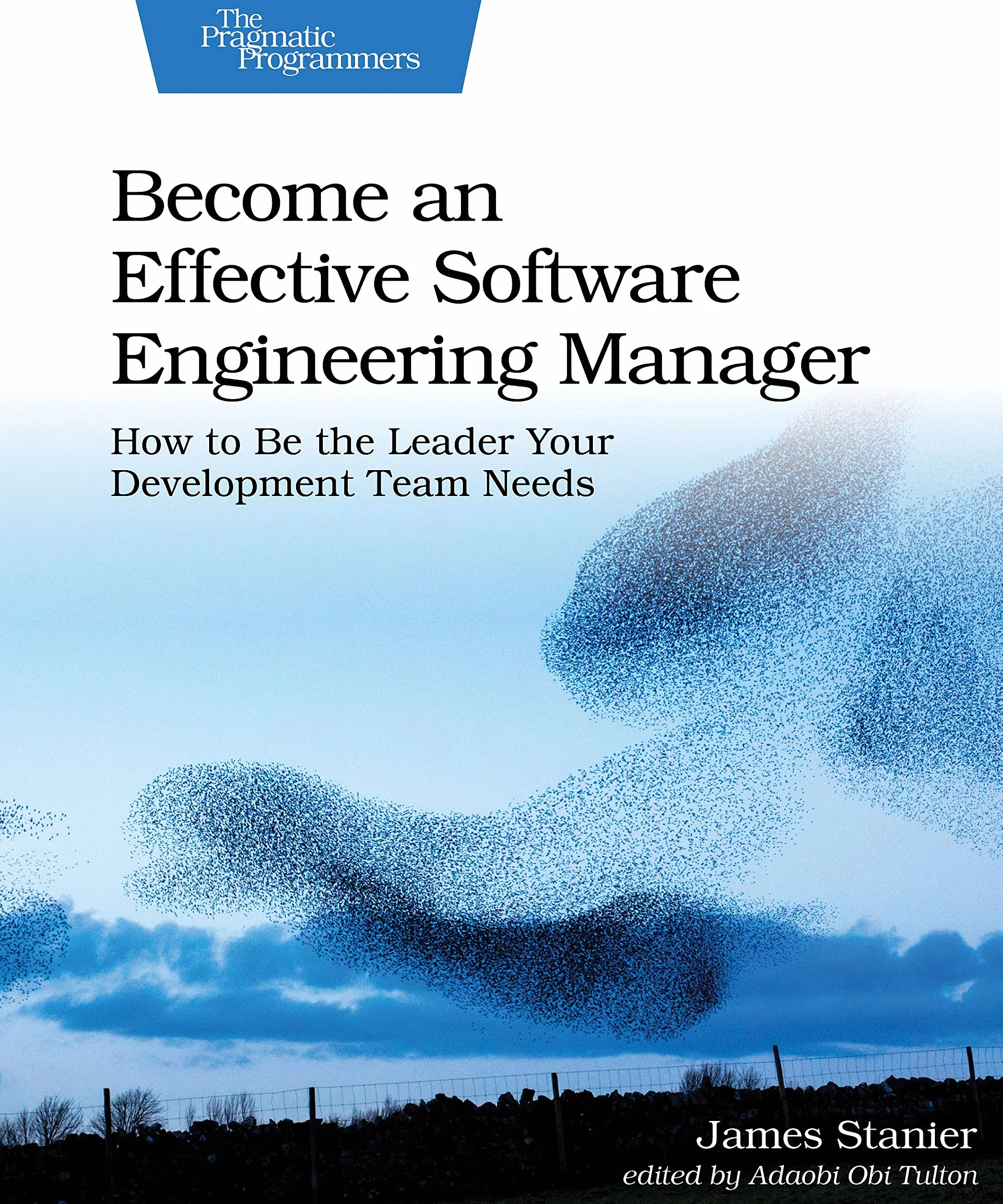 Become an Effective Software Engineering Manager: How to Be the Leader Your Development Team Needs