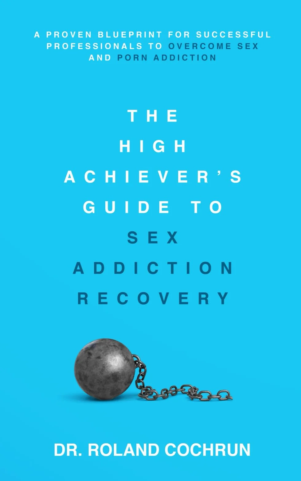 The High Achiever's Guide to Sex Addiction Recovery: A Proven Blueprint for Successful Professionals to Overcome Sex and Porn Addiction