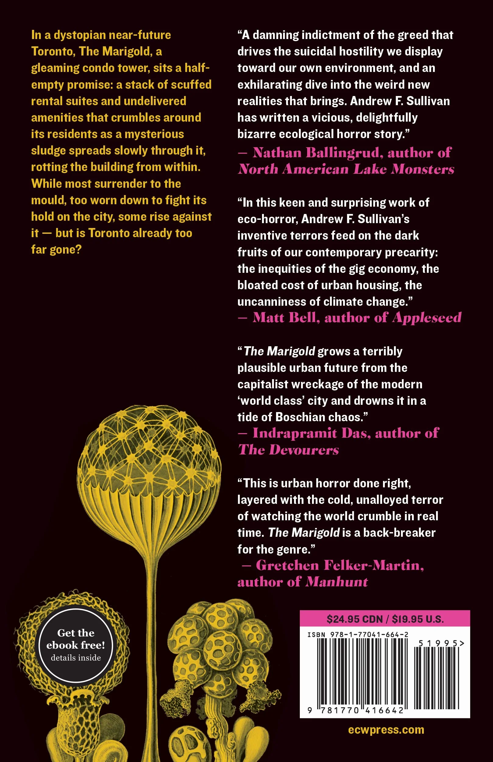 The Marigold
