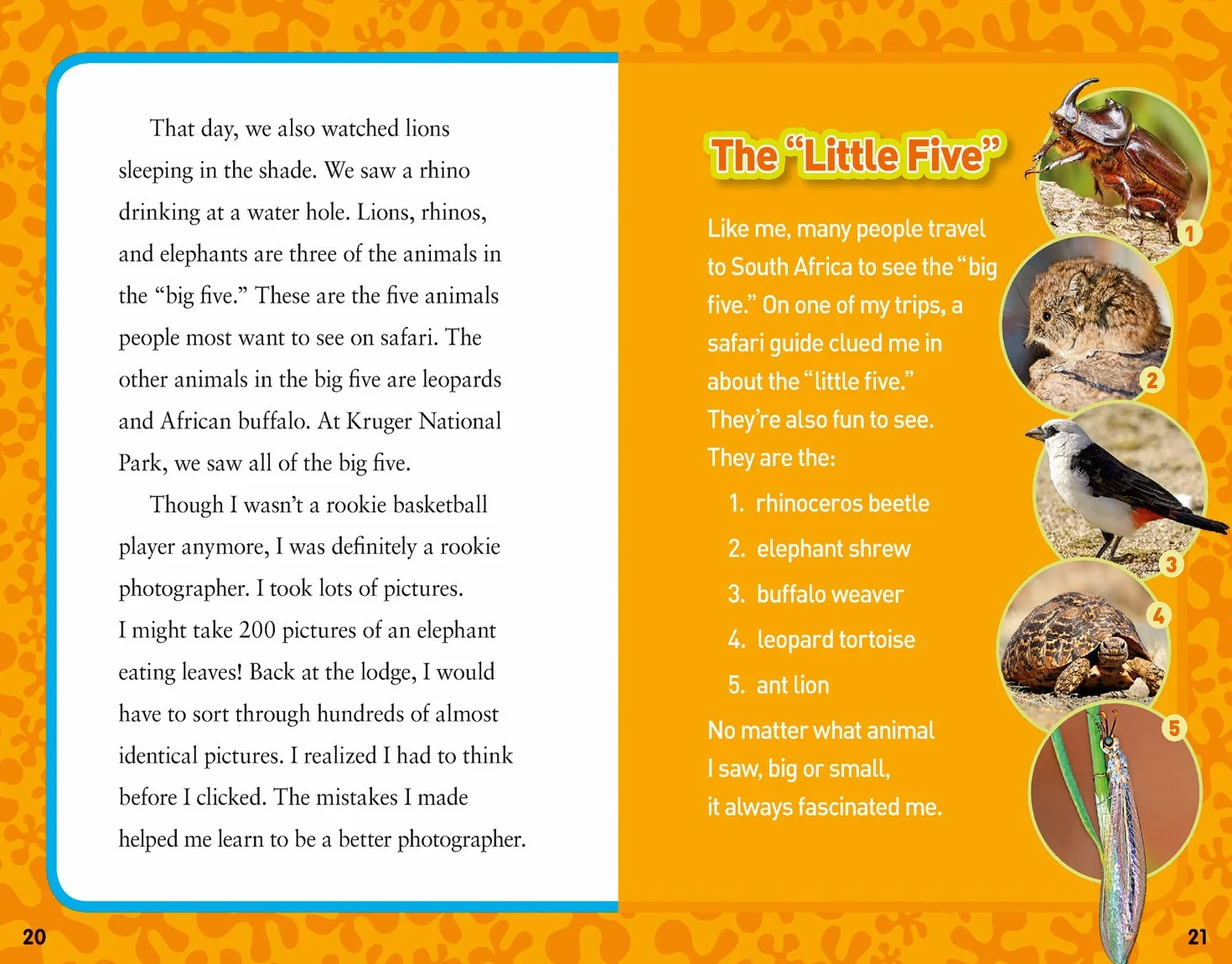 National Geographic Kids Chapters: Hoops to Hippos!: True Stories of a Basketball Star on Safari