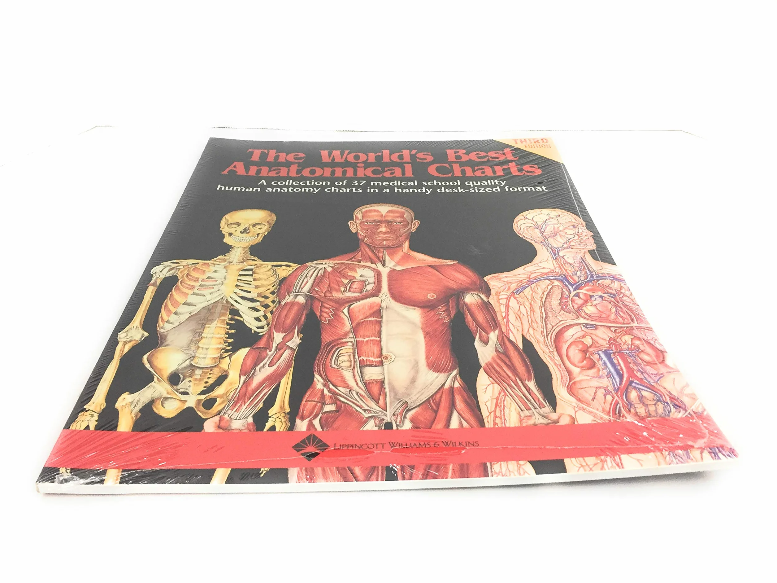 Anatomical Charts