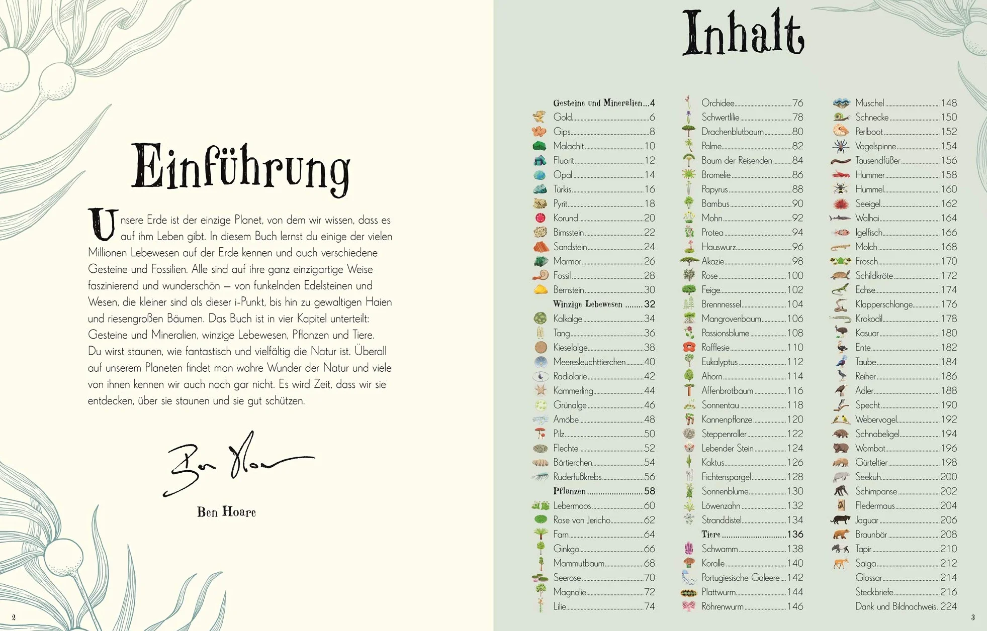 Naturbilderbuch für die ganze Familie mit Lesebändchen, Goldfolie und Goldschnitt