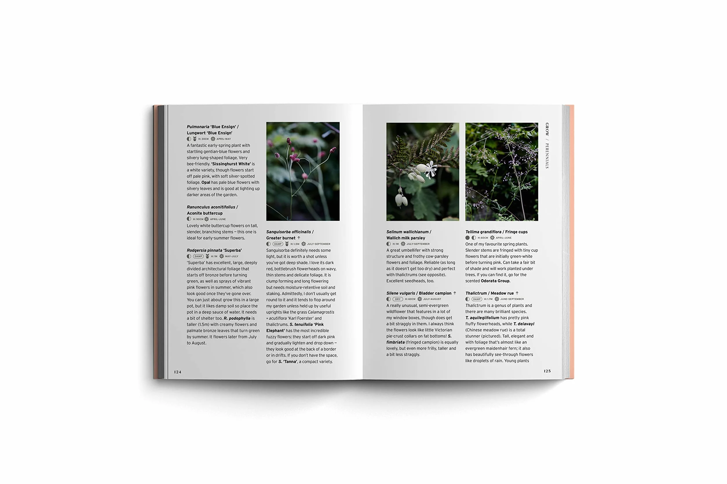 Bloom Gardener's Guide: Work with the Light, Grow the Right Plants, Bring Dark Corners to Life