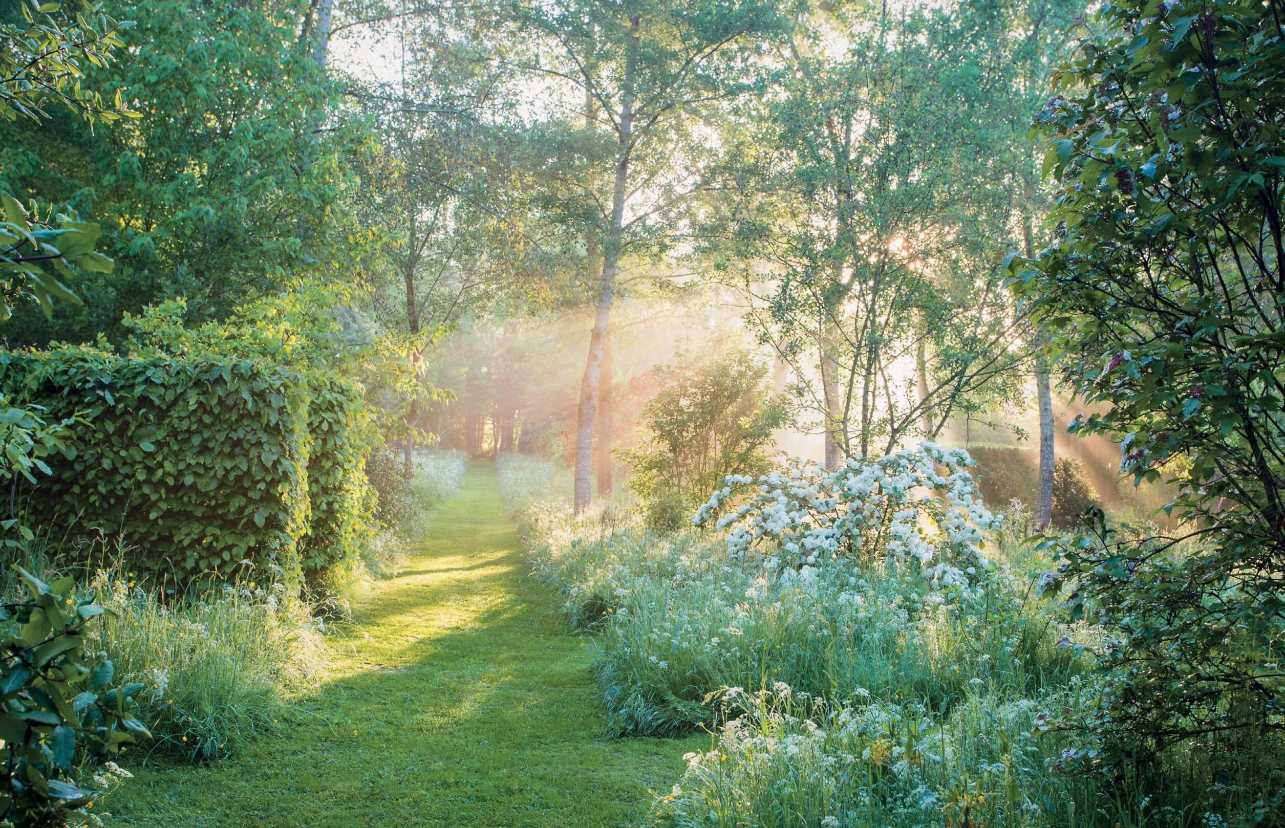 Dreamscapes: Inspiration and Beauty in Gardens Near and Far