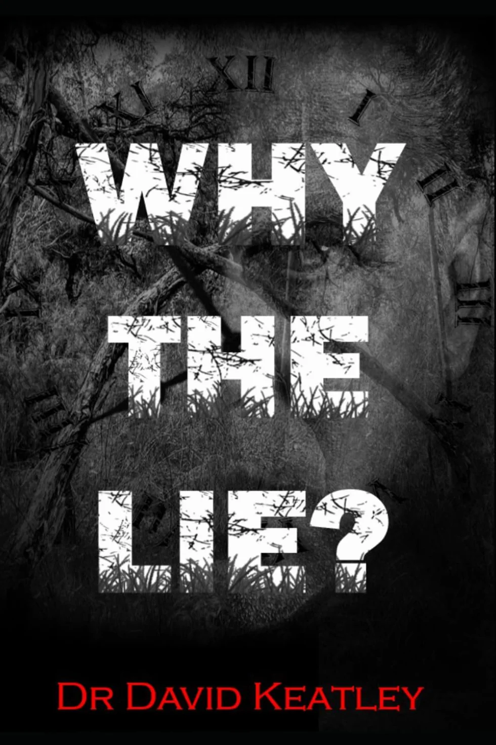 Why the lie?: Beyond deception detection