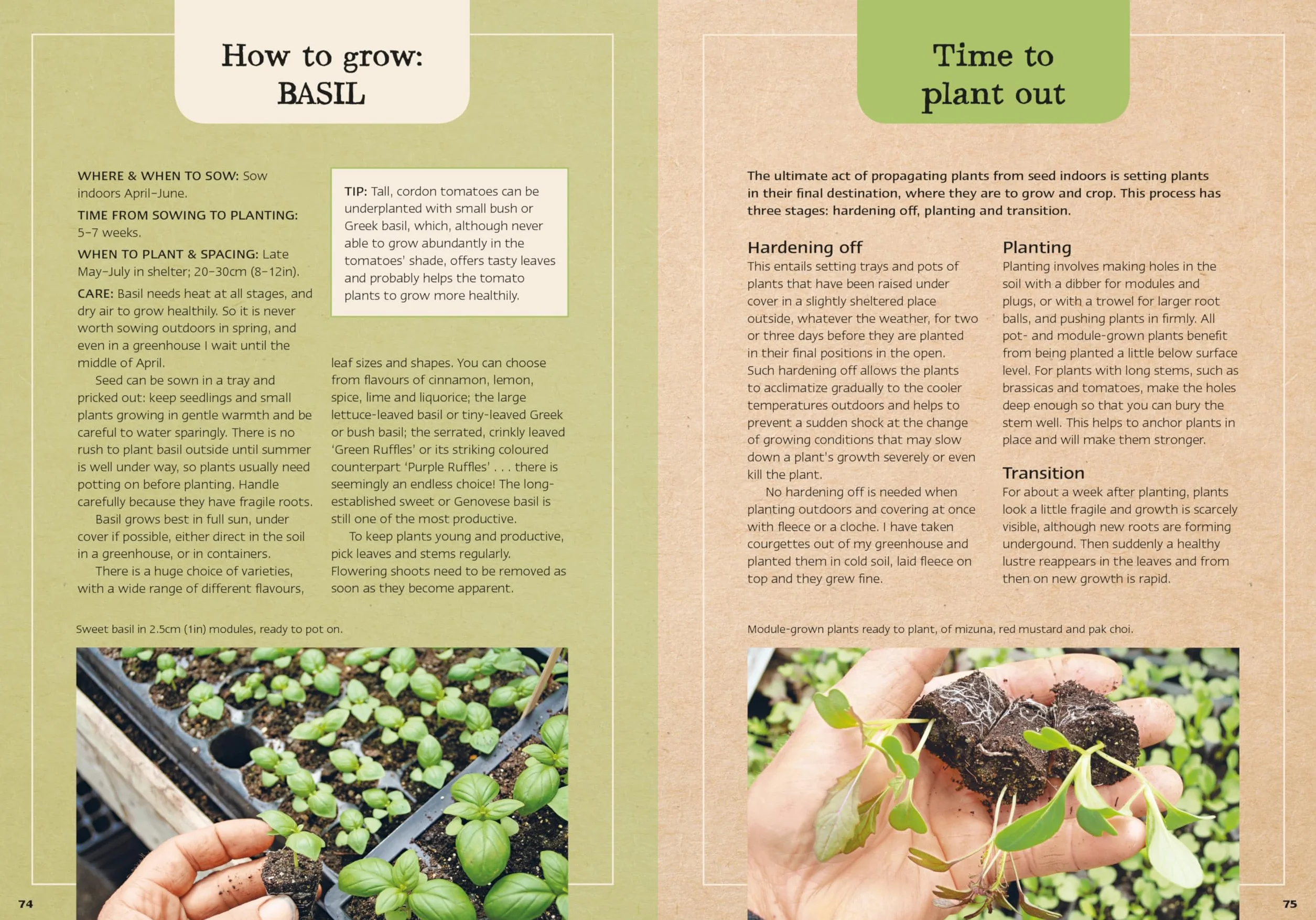 Charles Dowding's Veg Journal: Expert No-Dig Advice Month by Month