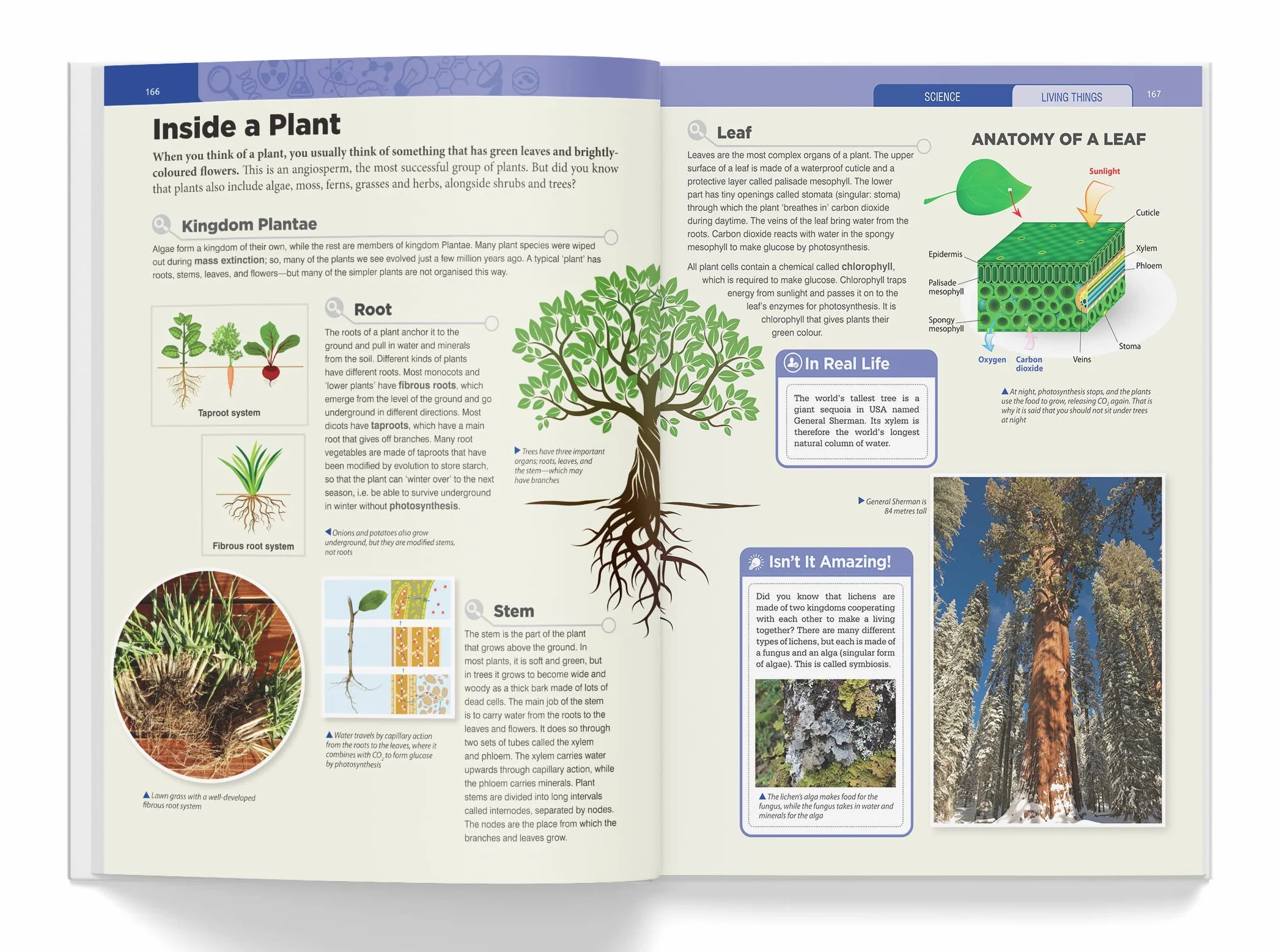 Knowledge Encyclopedia: Science