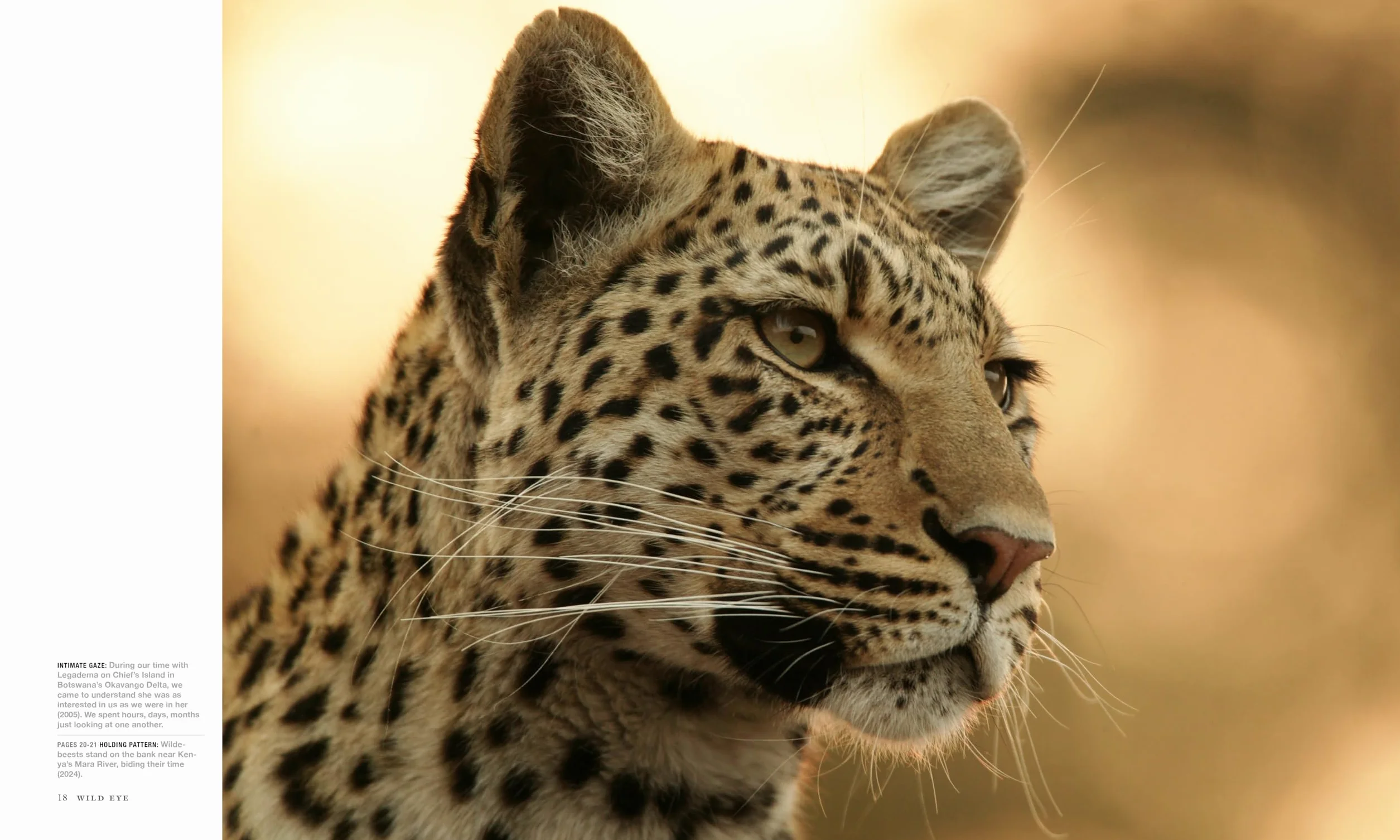 Wild Eye: A Life in Photographs