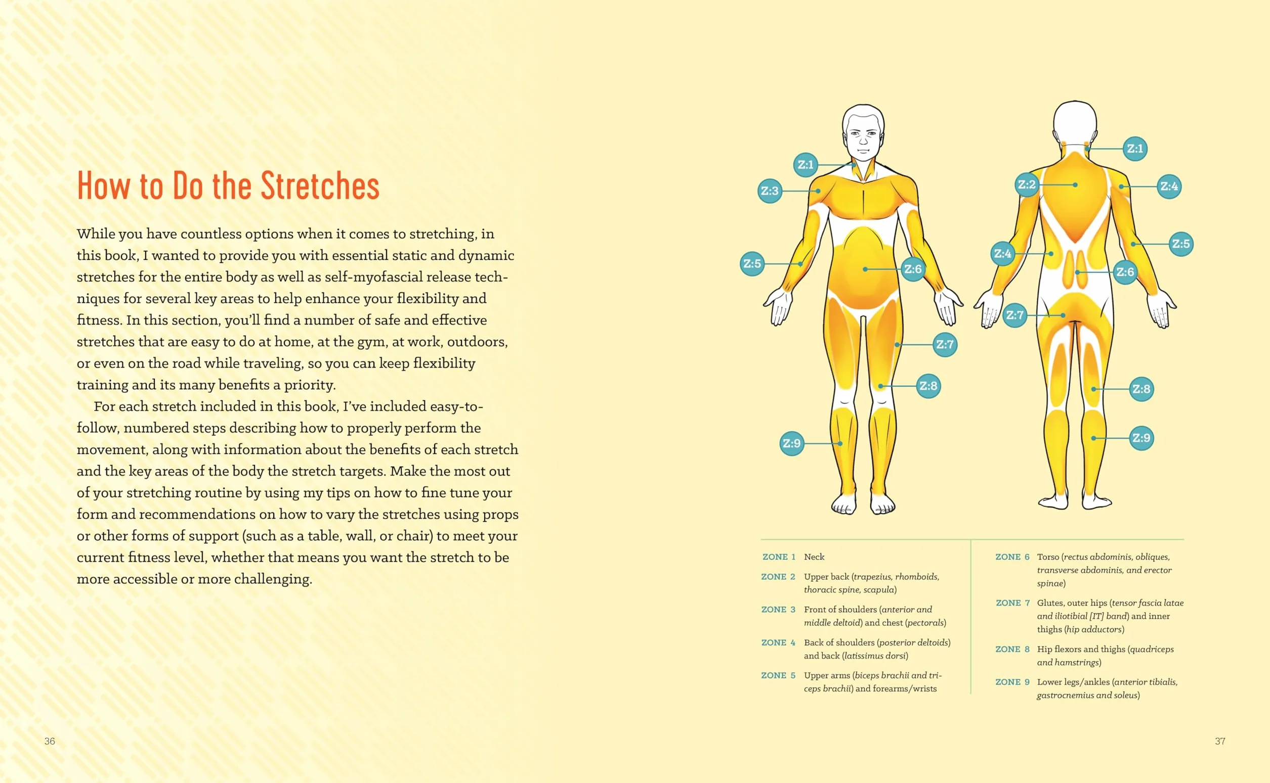 Stretching to Stay Young: Simple Workouts to Keep You Flexible, Energized, and Pain Free