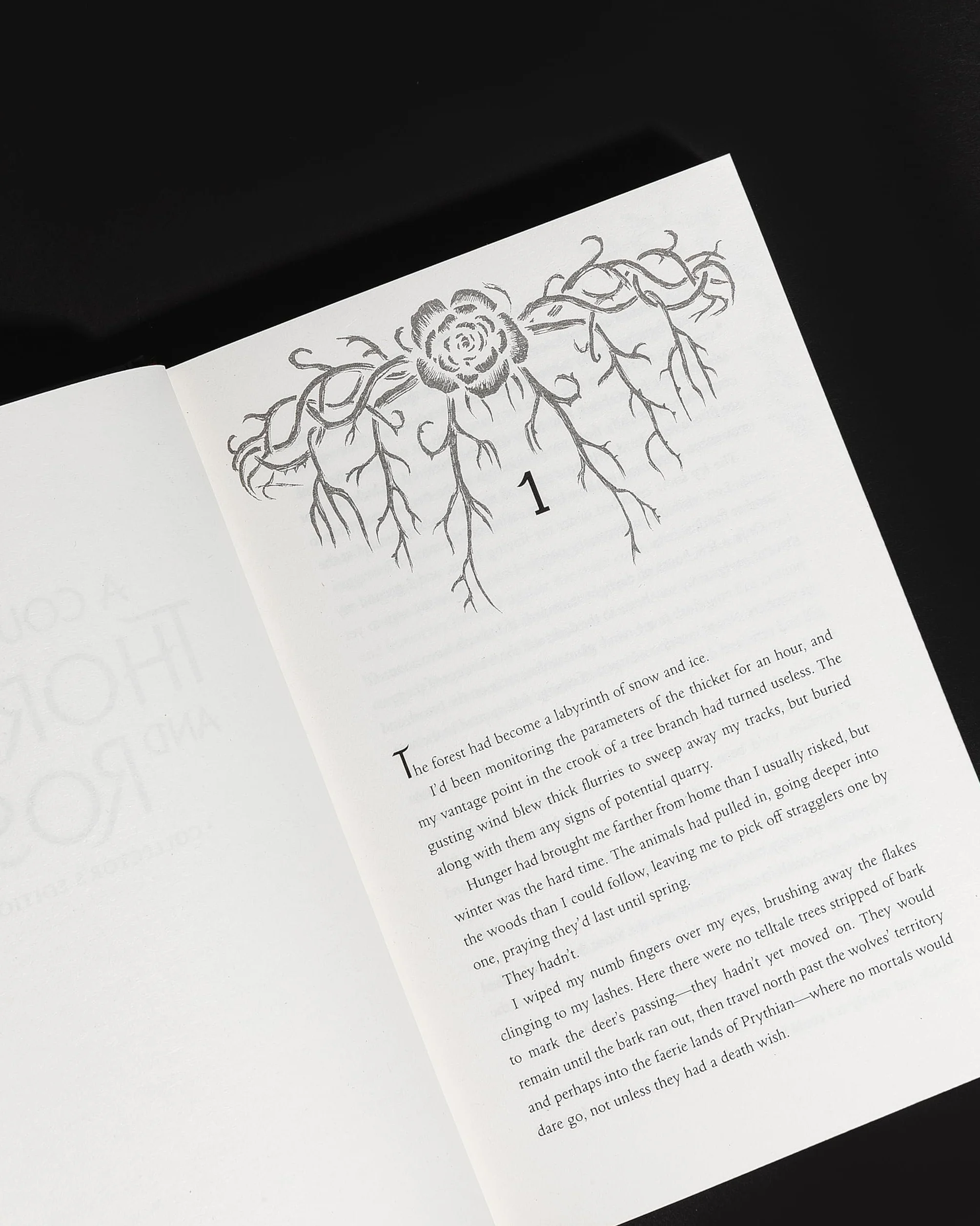 A Court of Thorns and Roses Collector's Edition: 1