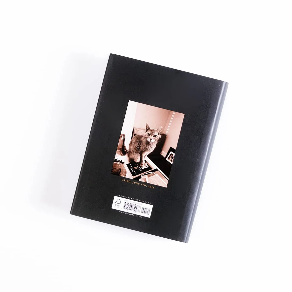 A Book of Days: The New York Times bestseller