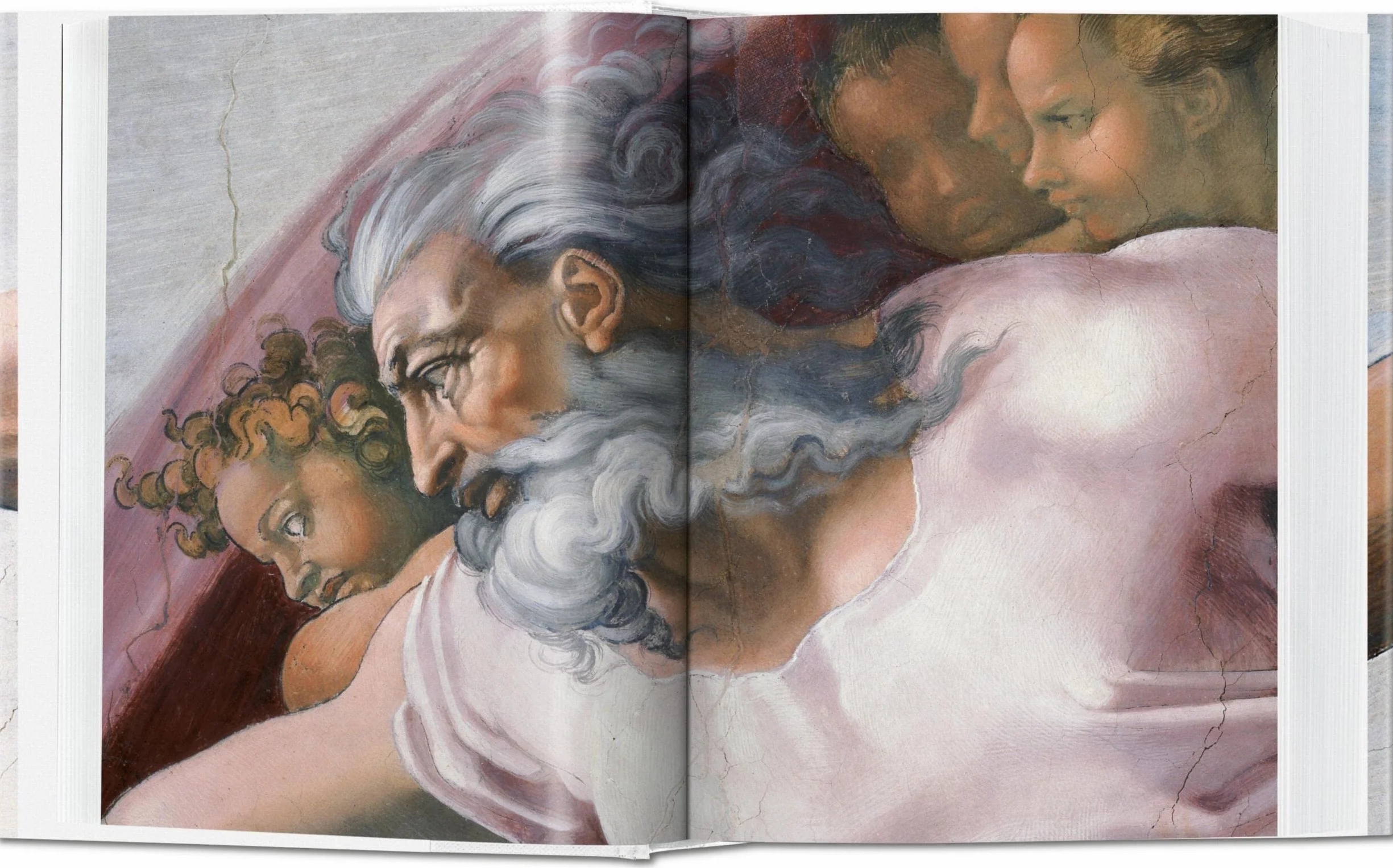 Michelangelo The Complete Paintings, Sculptures and Architecture