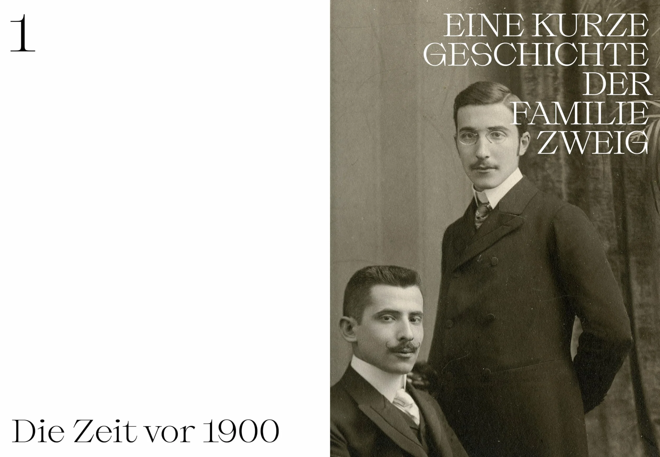 Das Stefan Zweig Album: Ein Leben in Bildern