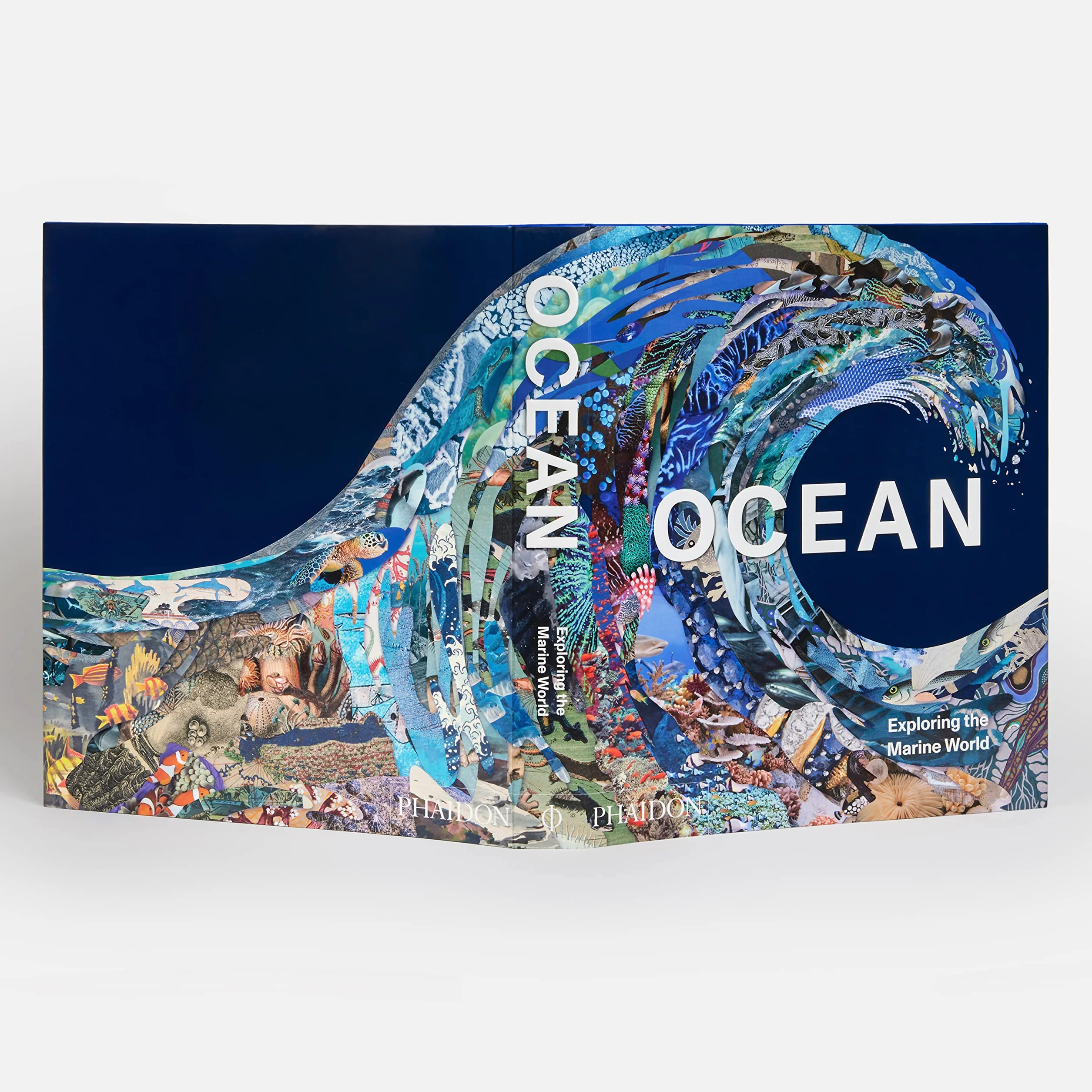 Ocean: exploring the marine world