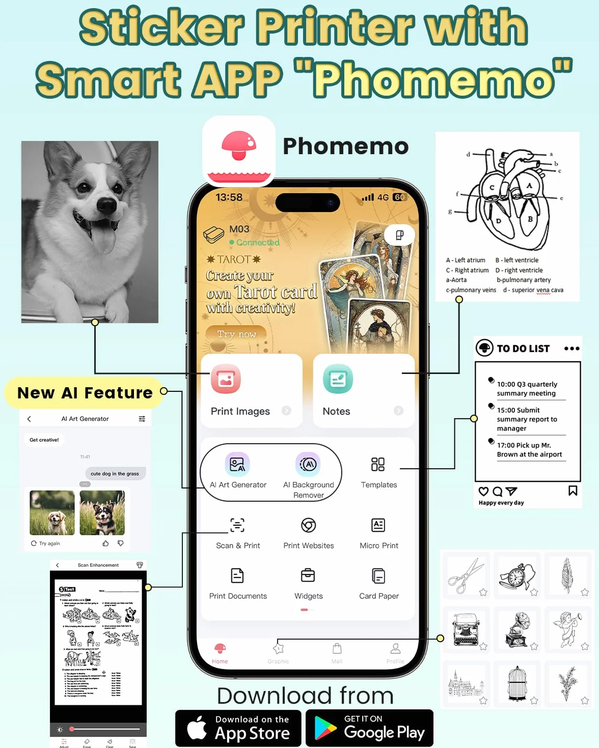 Phomemo M03 Minidrukarka 3-calowa przenośna drukarka termiczna Bluetooth szerokość druku 53/80 mm iOS Android zielona