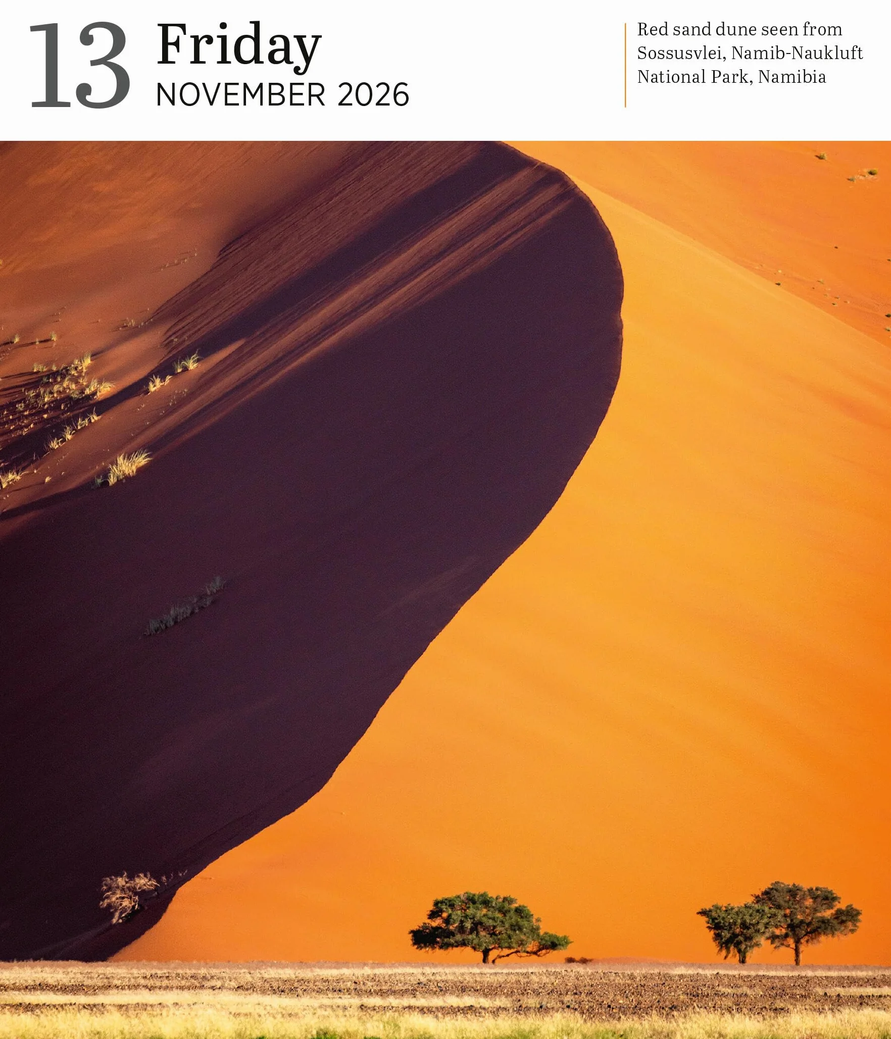 Audubon Nature Page-A-Day® Gallery Calendar 2026