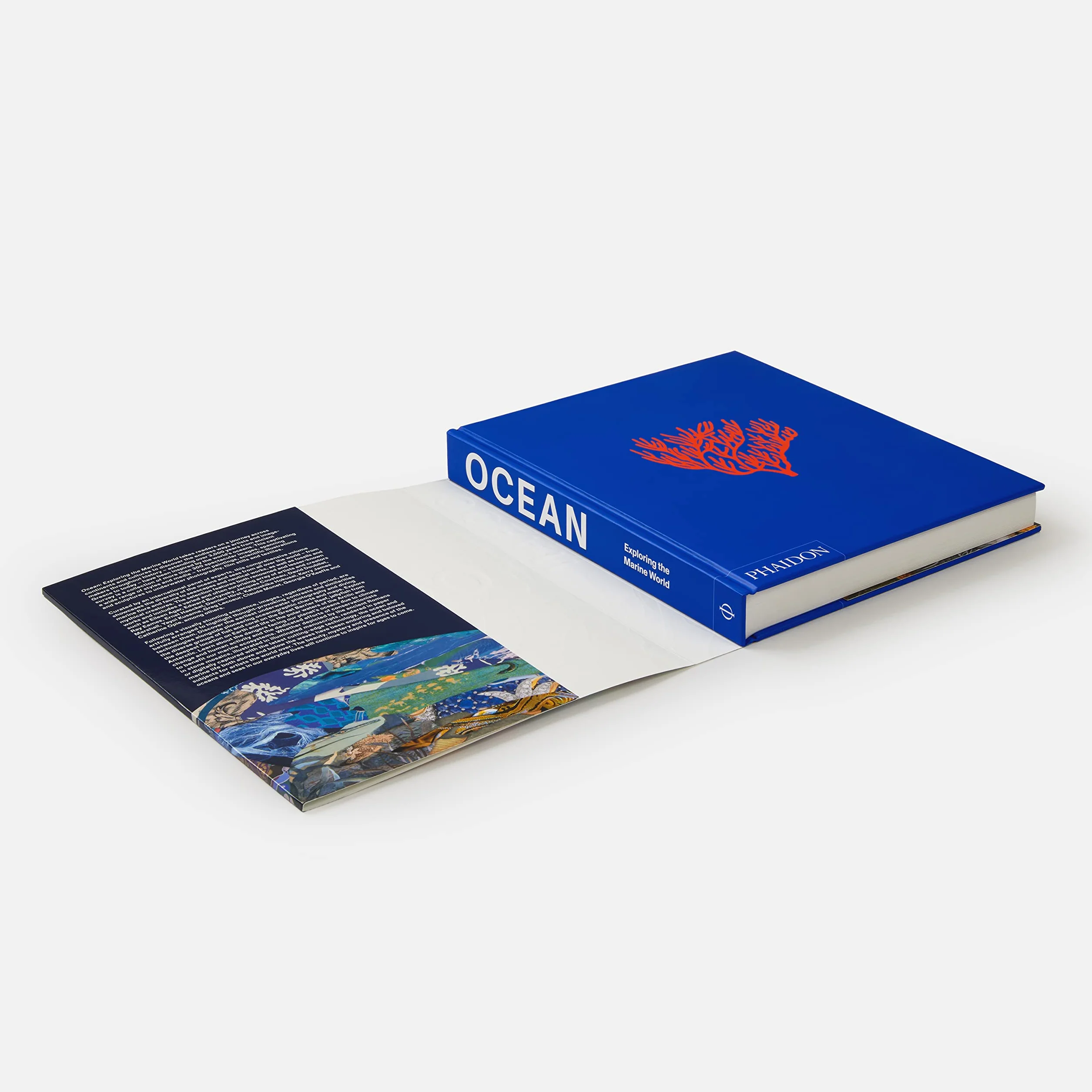 Ocean: exploring the marine world