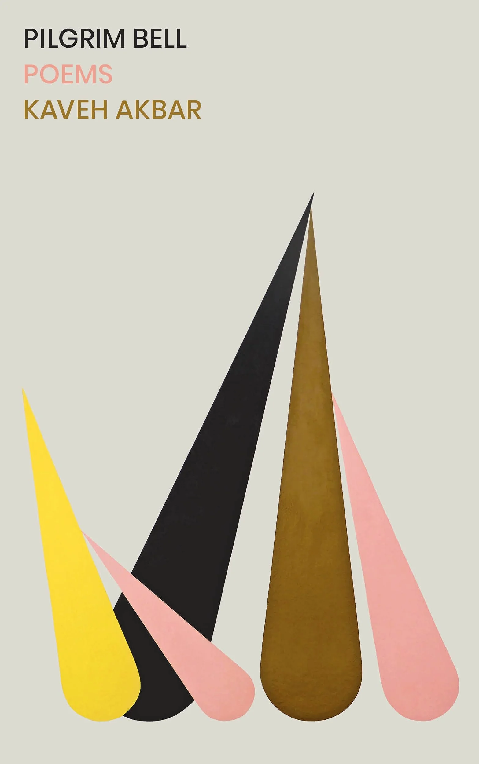 Pilgrim Bell: Acclaimed Poetry Collection from Prize-Winning Poet