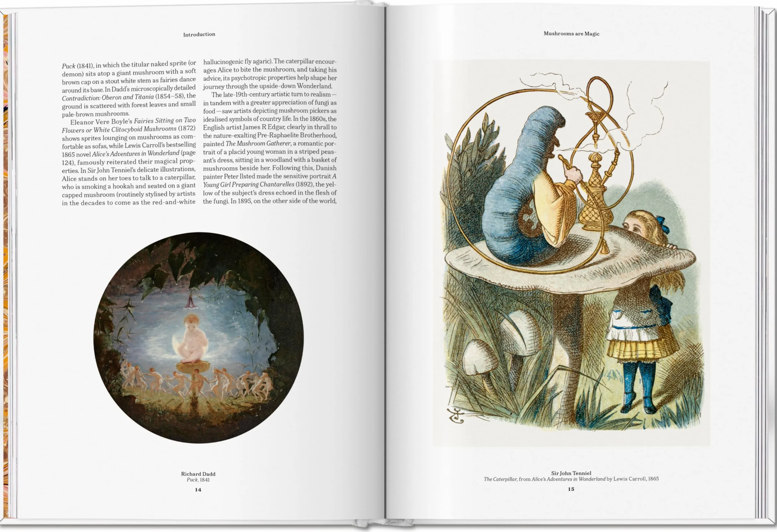 The Gourmand's Mushroom: A Collection of Stories & Recipes