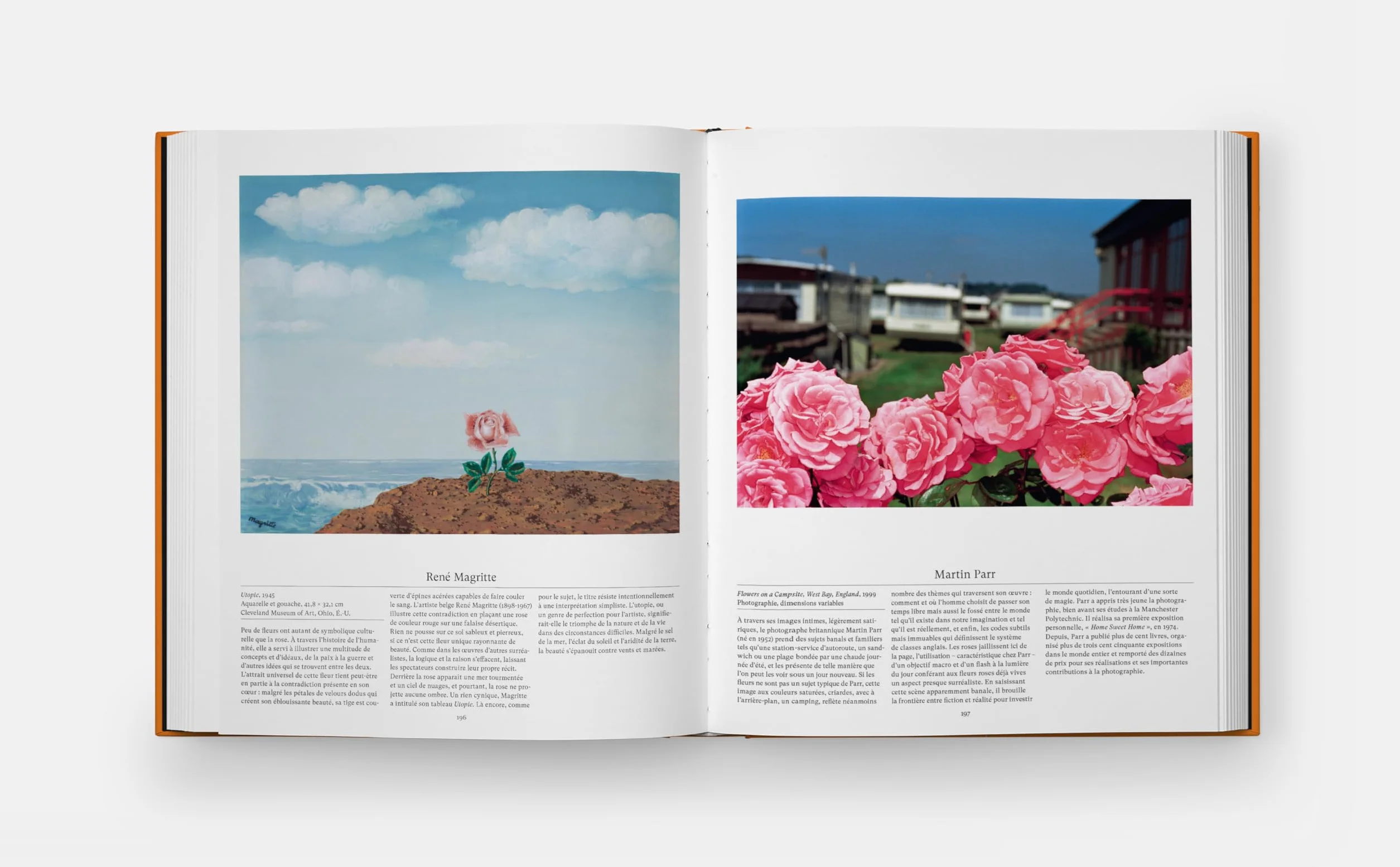 Explorer le monde floral