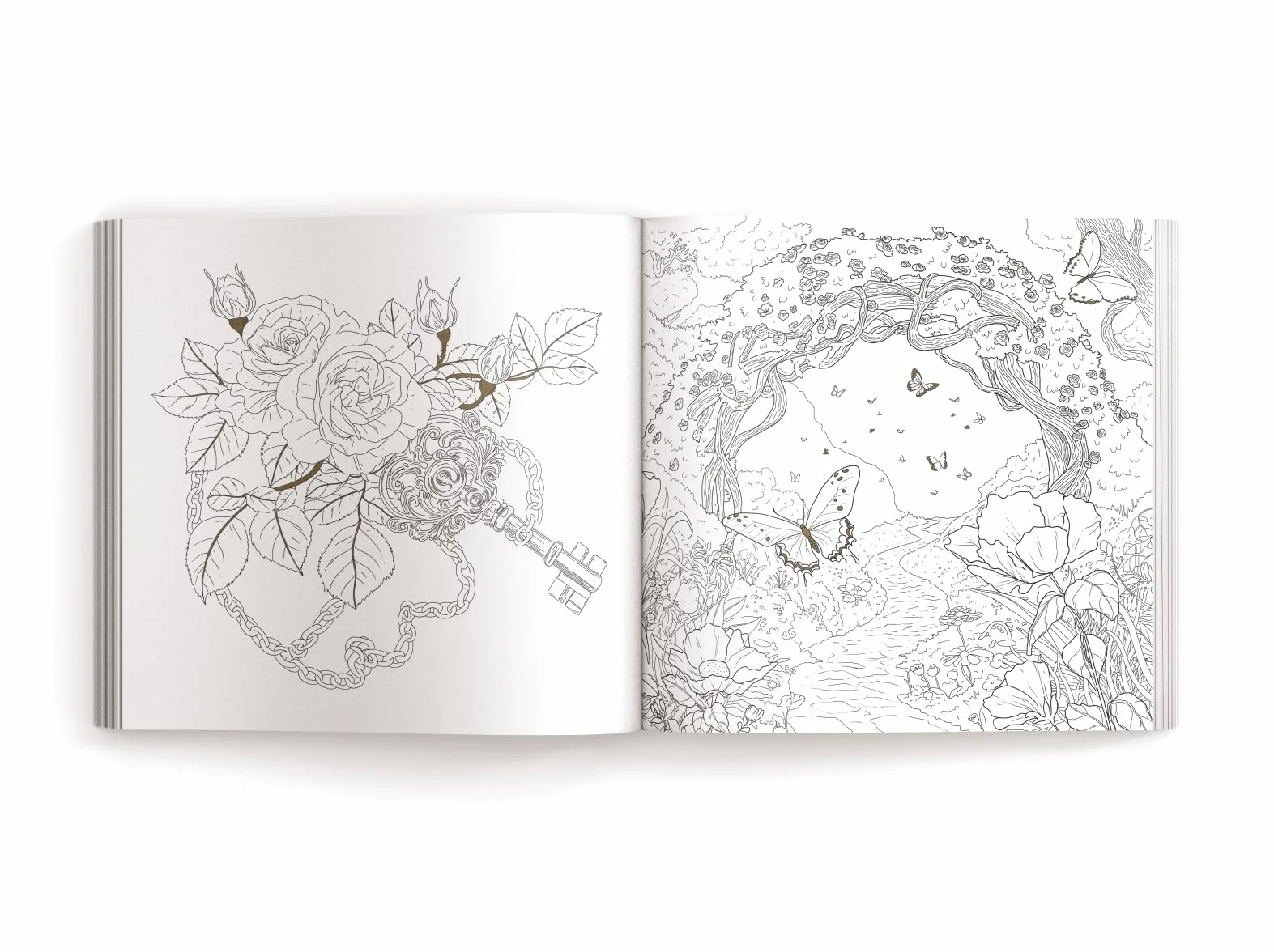 Enchanted: Color Your Way Through Nature's Hidden Gems