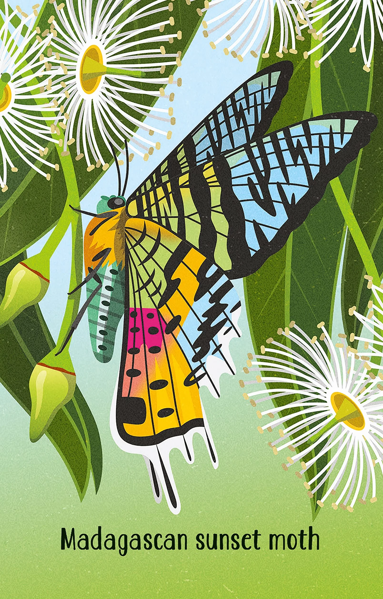 Bugs Snap (Snap Cards)