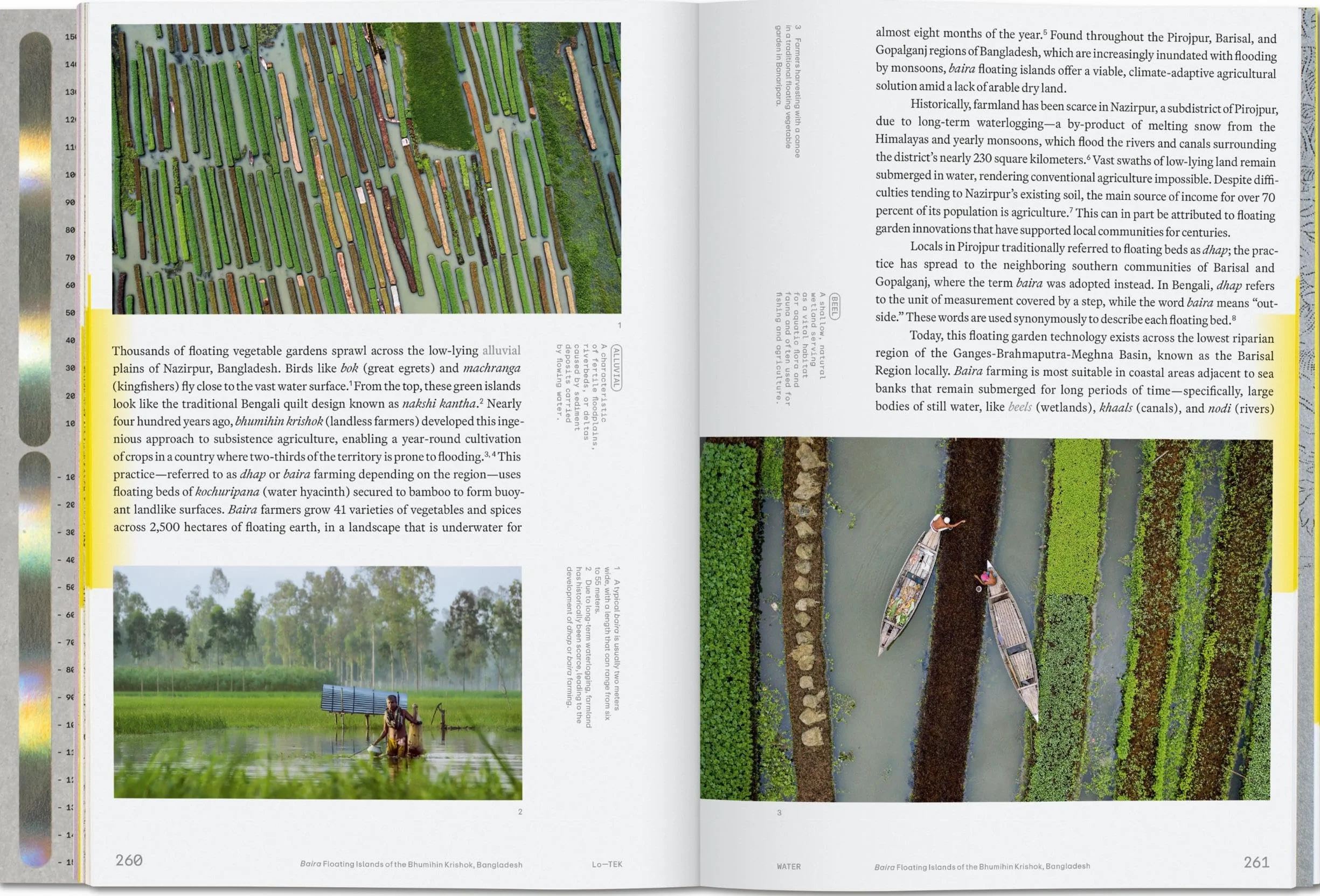 Julia Watson. Lo--Tek. Water. a Field Guide for Teknology