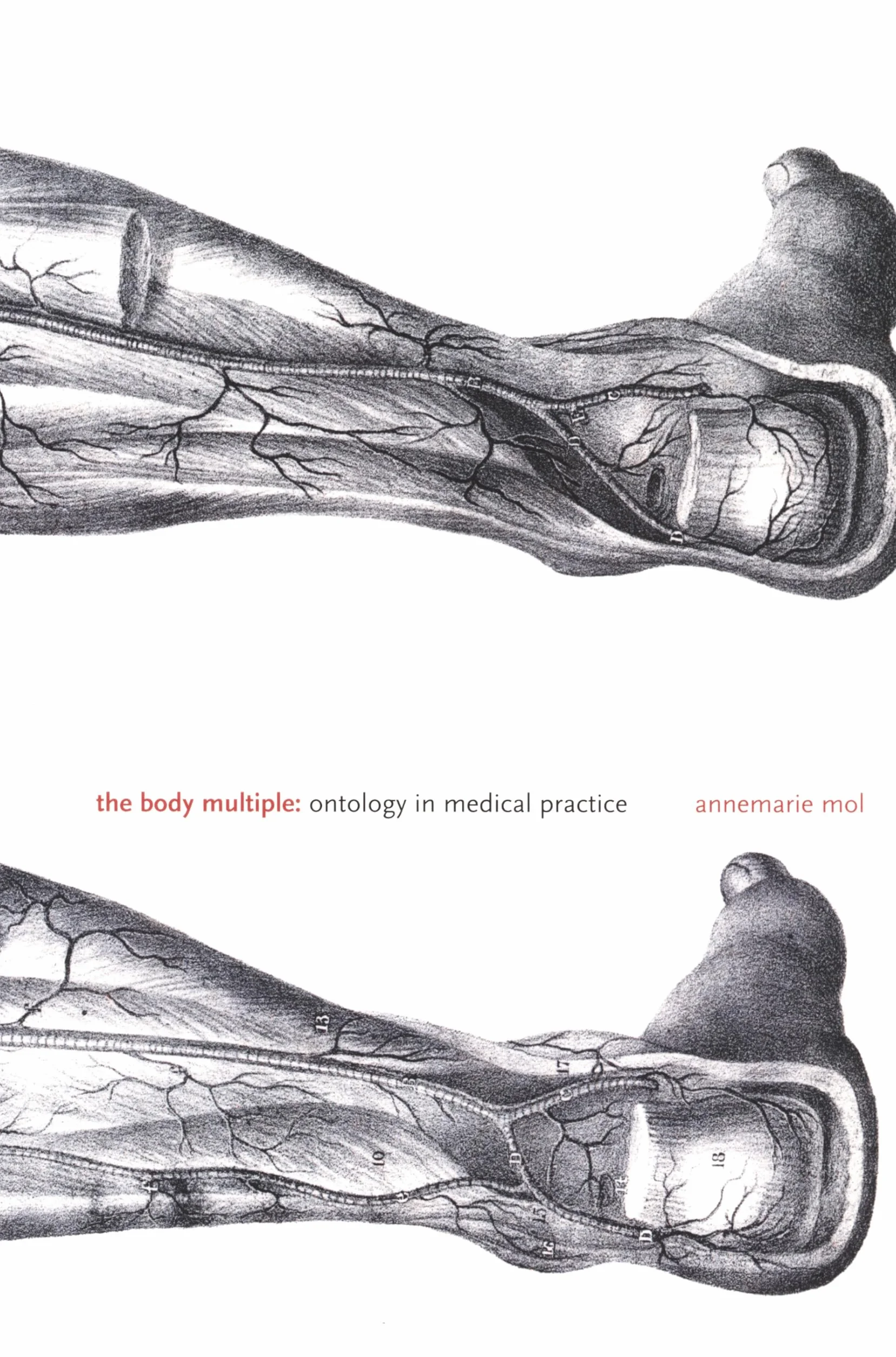 The Body Multiple: Ontology in Medical Practice