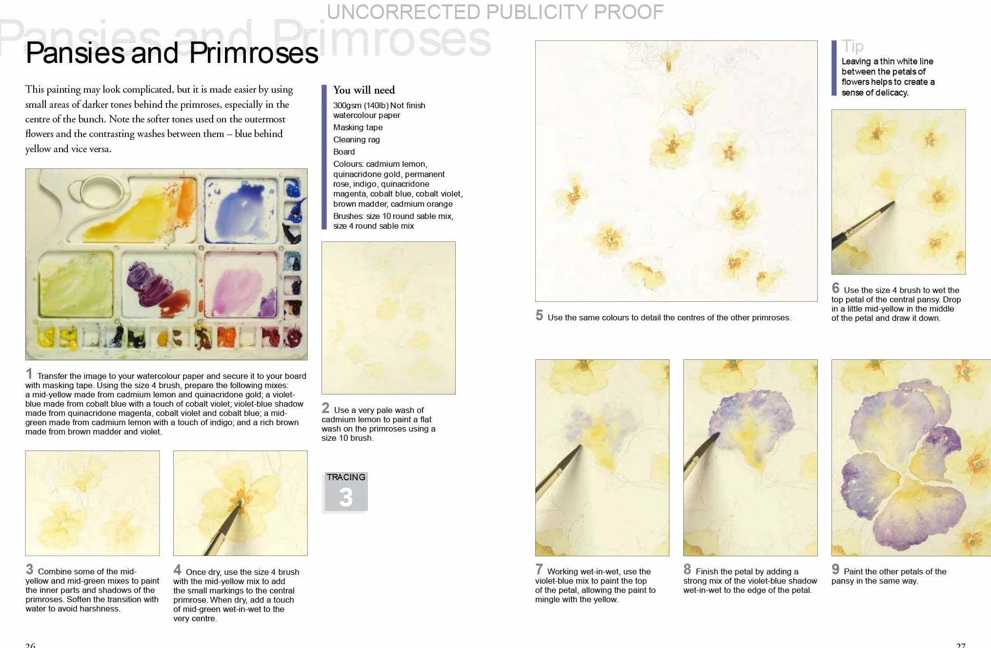Watercolour Flowers Paint Set