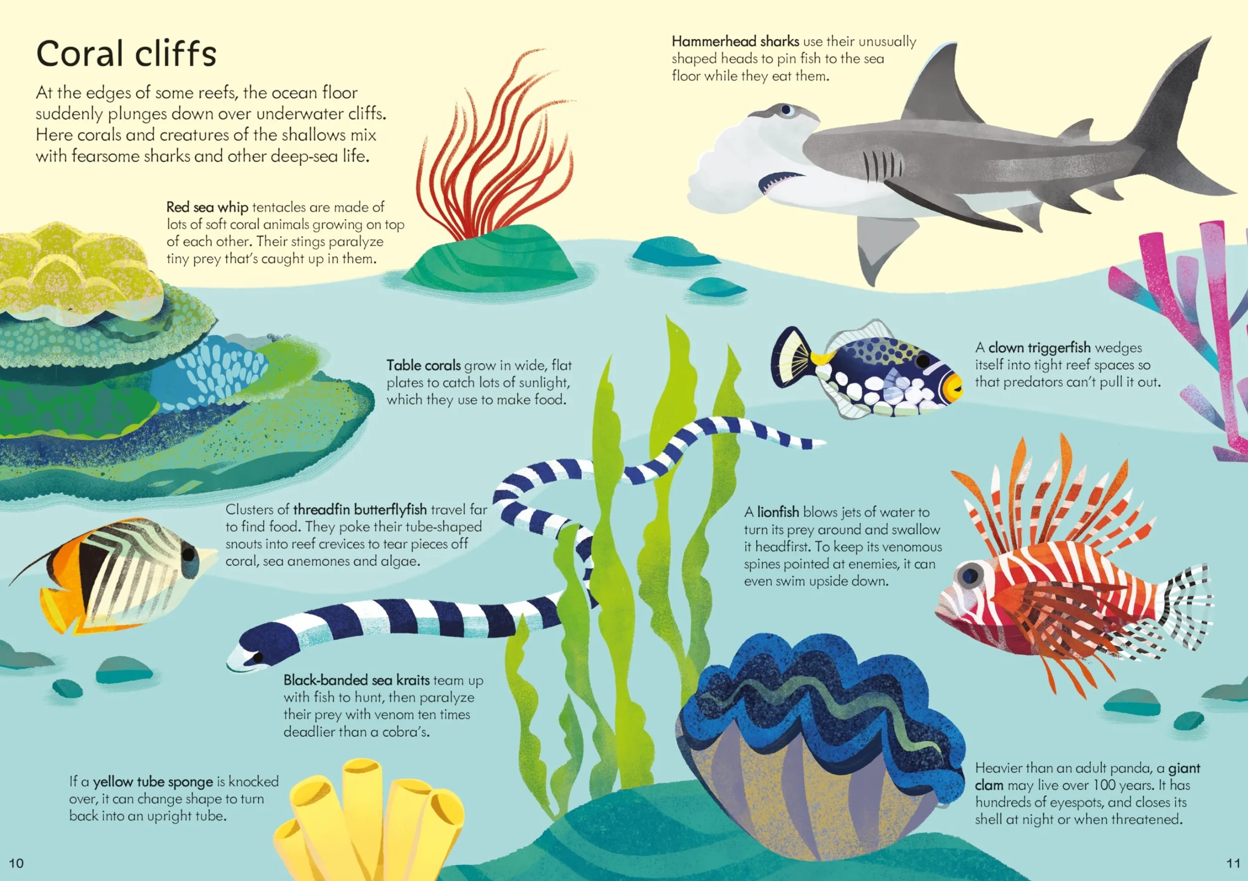 Usborne Book and Jigsaw Coral Reef