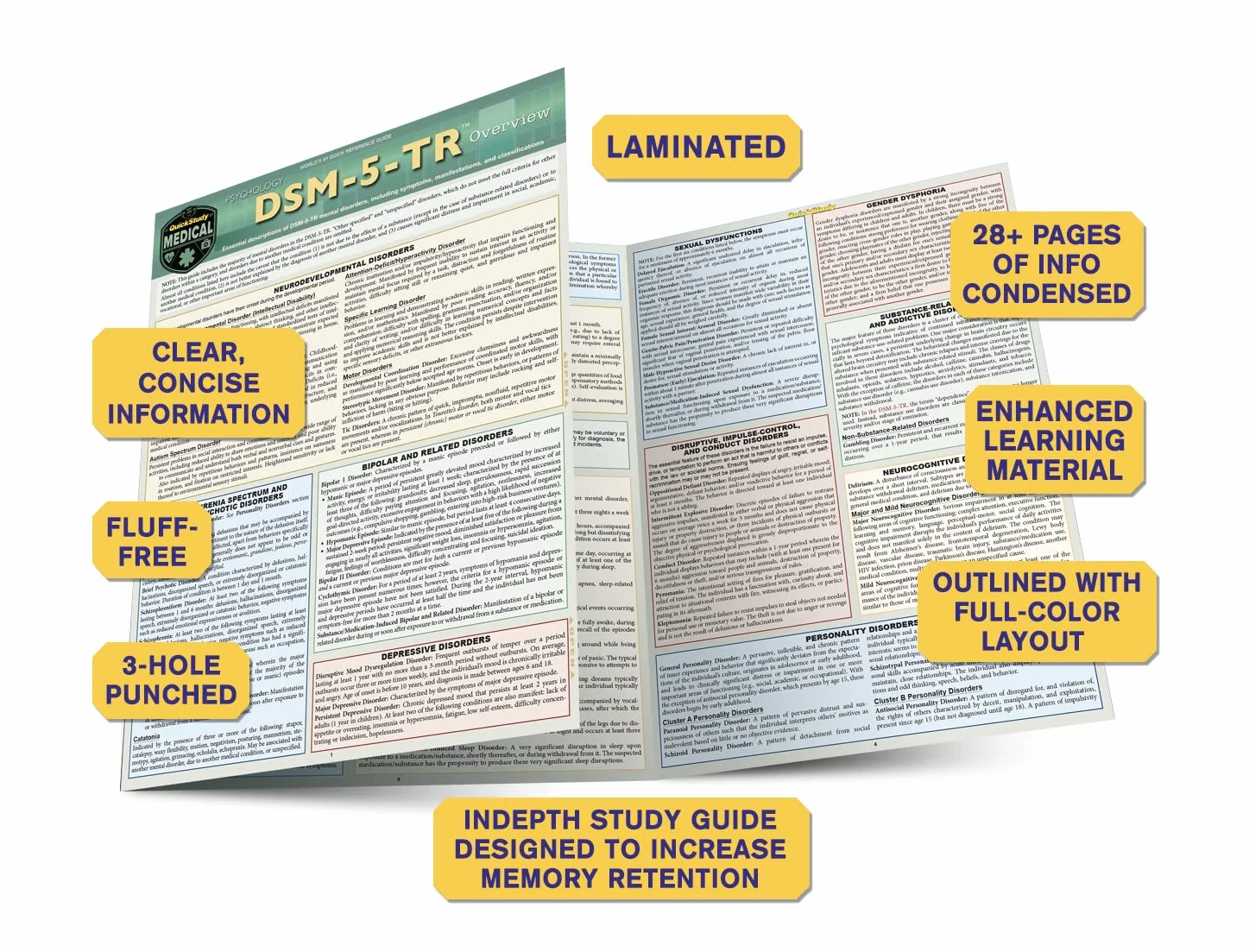 DSM-5-TR Overview: Quickstudy Laminated Reference Guide