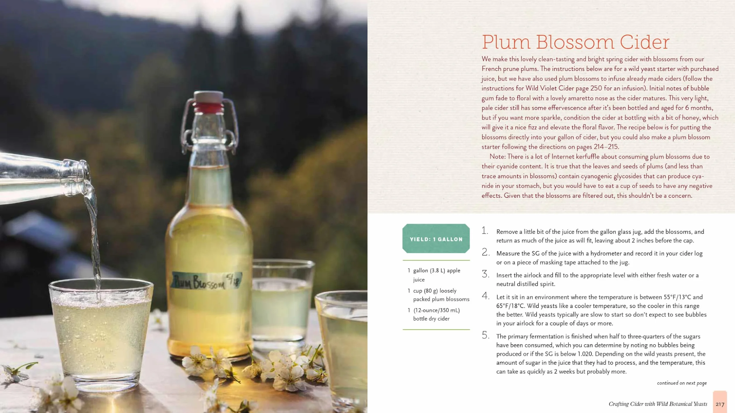 The Big Book of Cidermaking: Expert Techniques for Fermenting and Flavoring Your Favorite Hard Cider