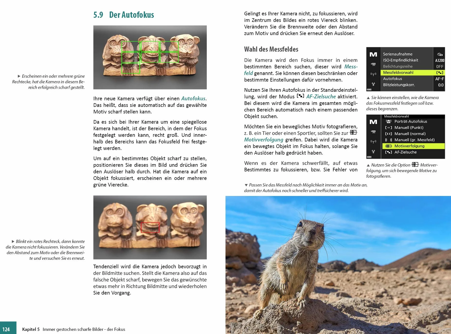 Nikon Coolpix P950: Das umfangreiche Praxisbuch zu Ihrer Kamera!