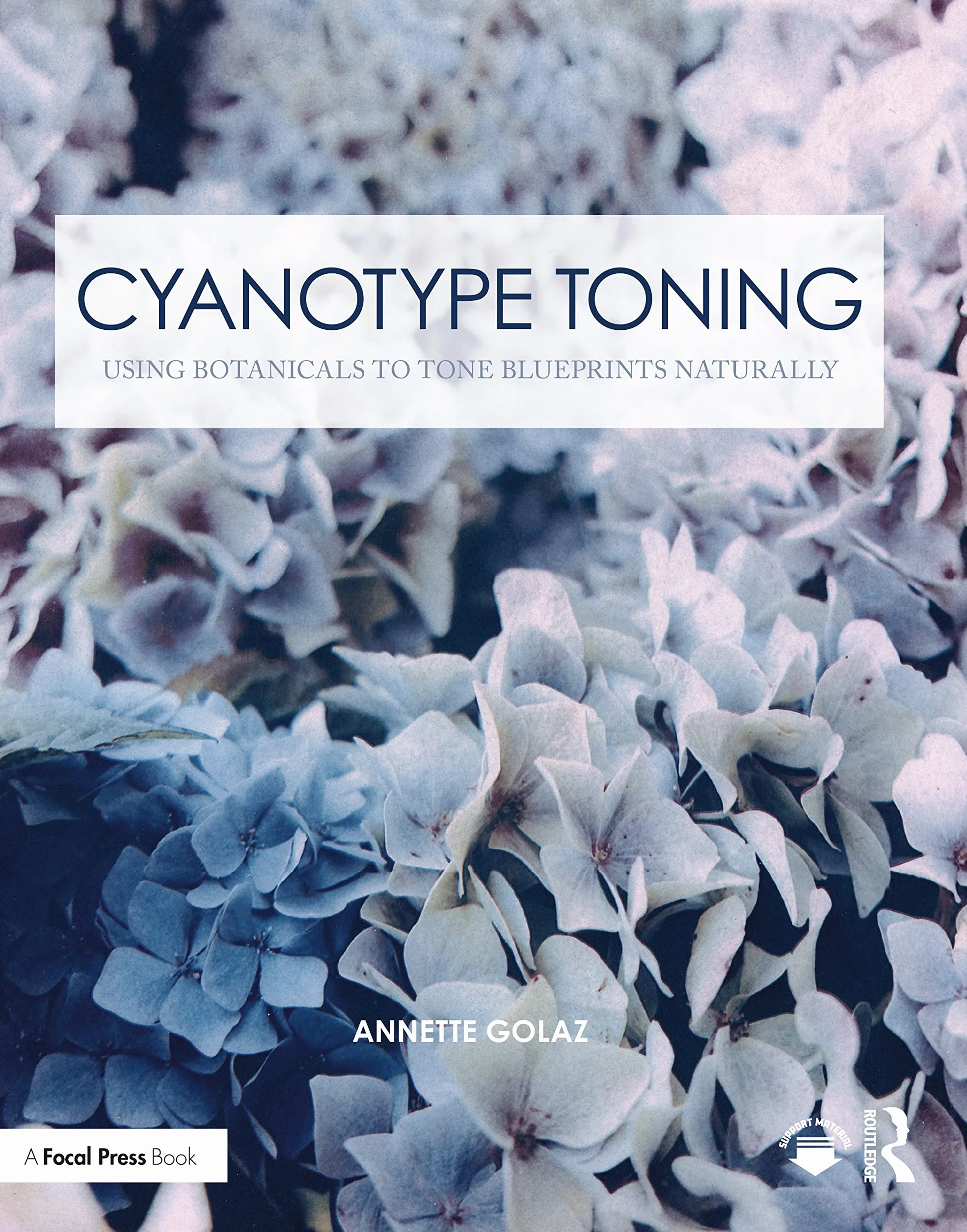 Cyanotype Toning Using Botanicals to Tone Blueprints Naturally
