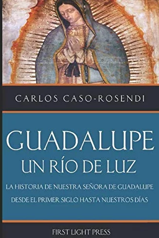 Guadalupe: Un Rio de Luz: La Historia de Nuestra Señora de Guadalupe Desde el Primer Siglo Hasta Nuestros Días