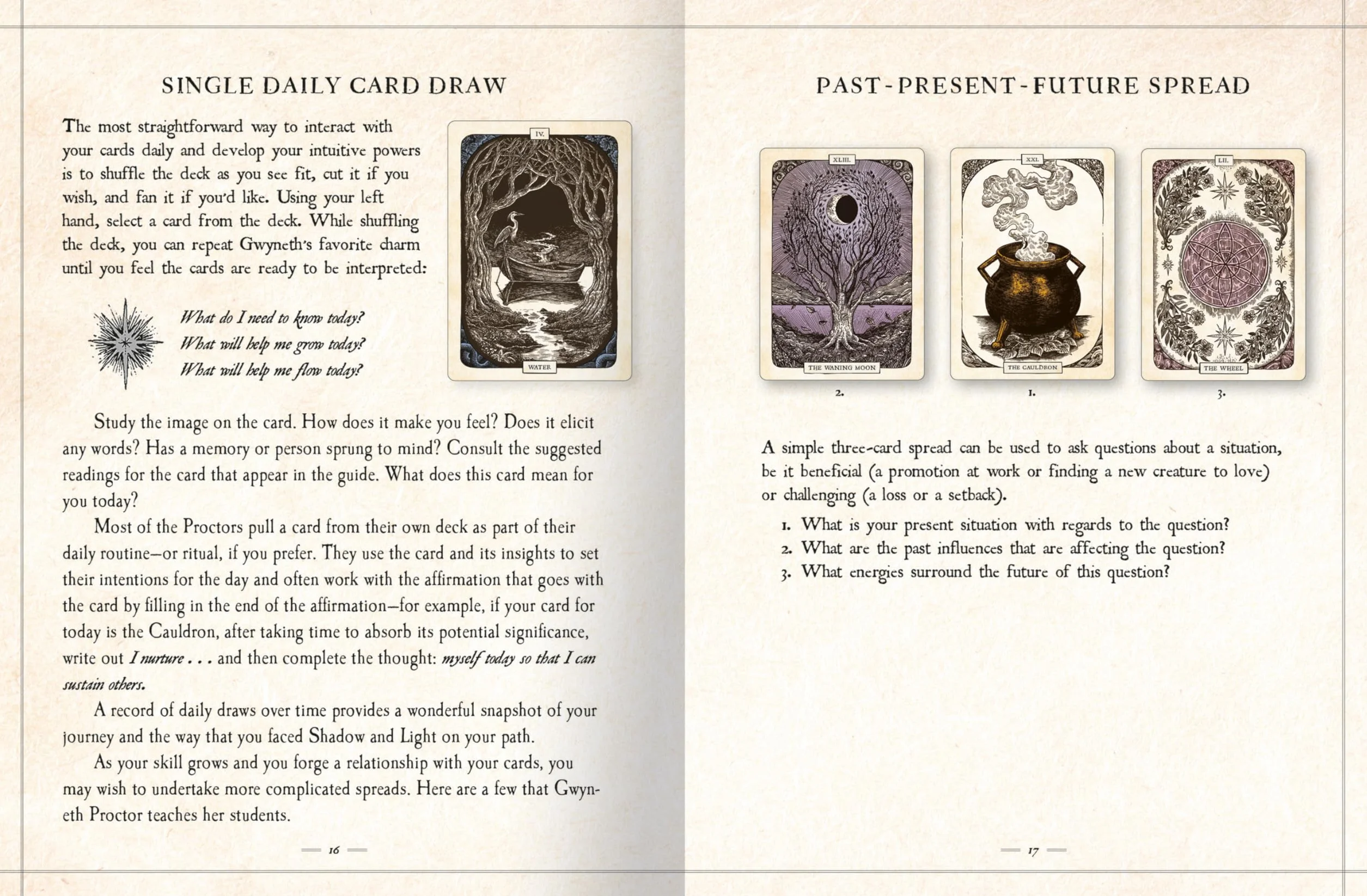 The Black Bird Oracle Deck: 52-Card Deck and Guidebook