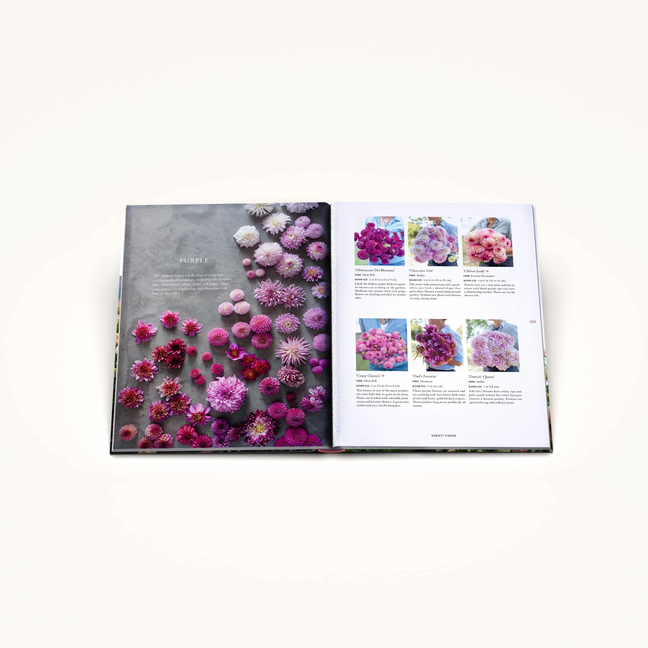 Floret Farm's Discovering Dahlias: A Guide to Growing and Arranging Magnificent Blooms