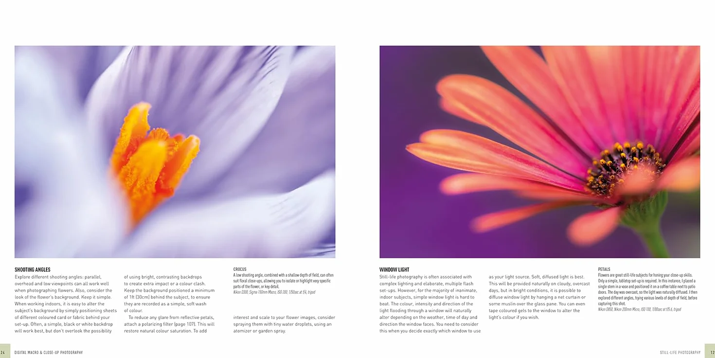 Digital Macro & Close-Up Photography: New Edition