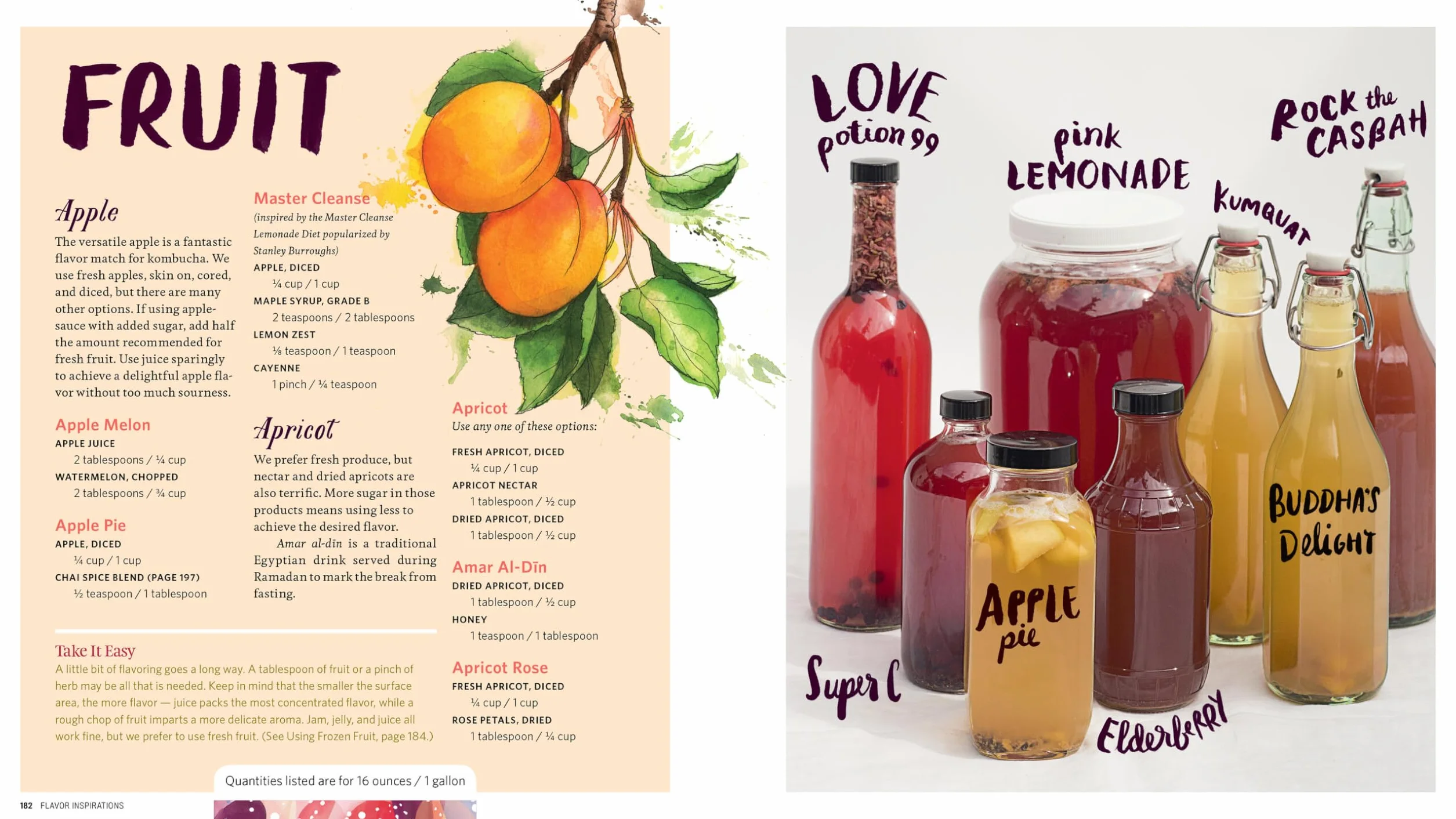 The Big Book of Kombucha: Brewing, Flavoring, and Enjoying Fermented Tea