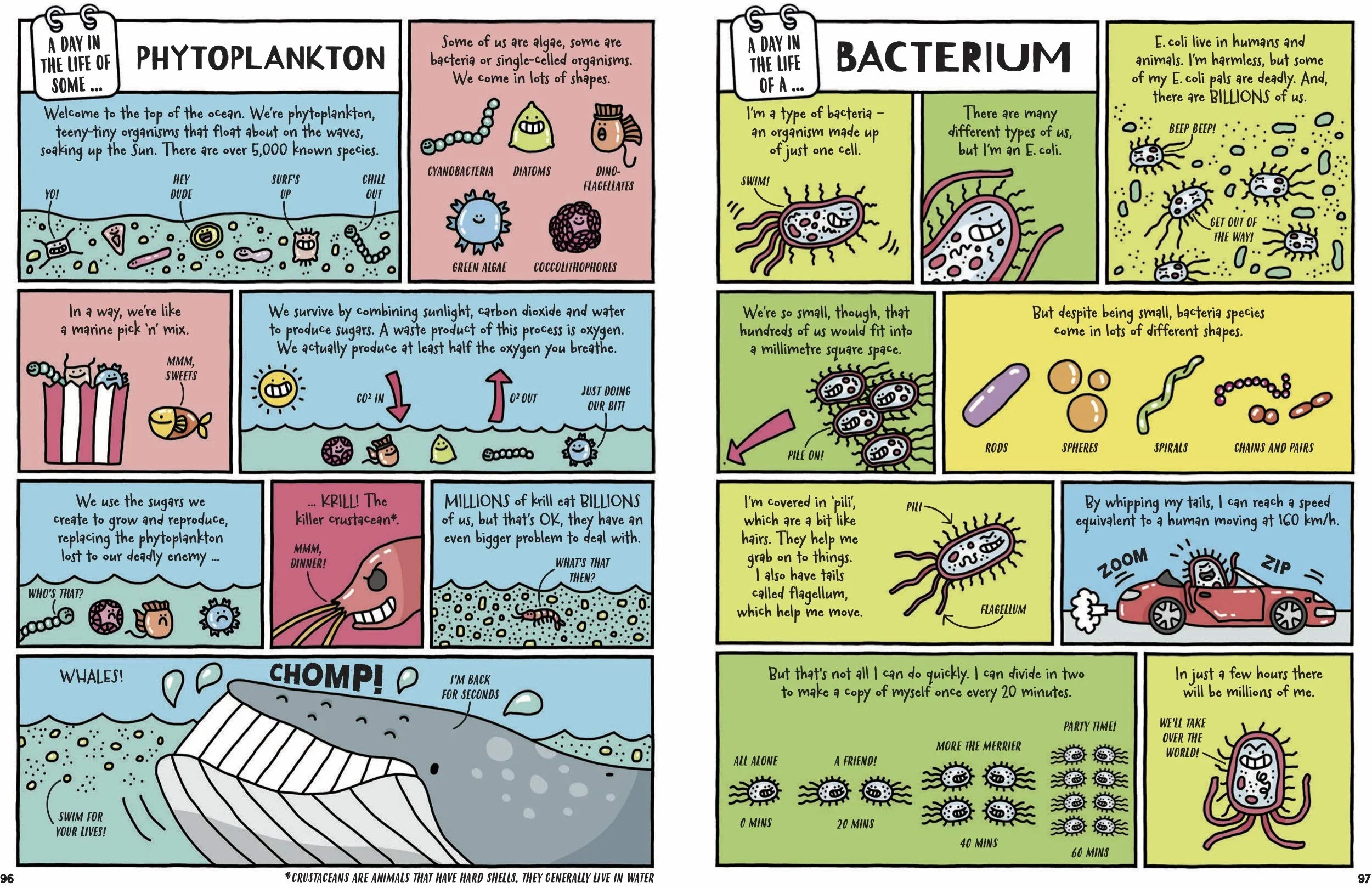 A Day in the Life of a Poo, a Gnu and You (Blue Peter Book Award 2021)