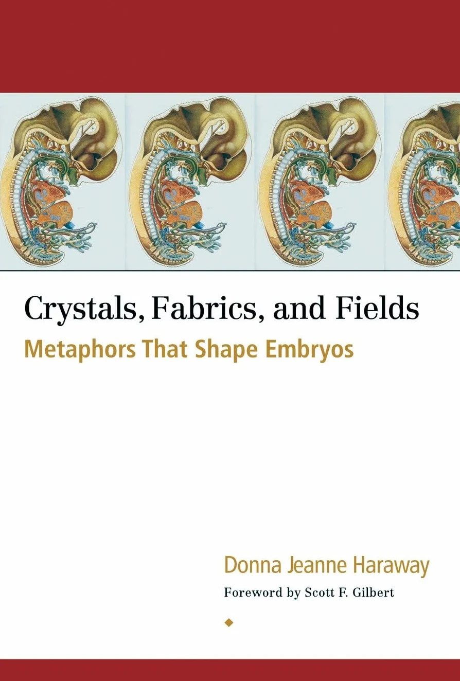 Crystals, Fabrics, and Fields: Metaphors That Shape Embryos