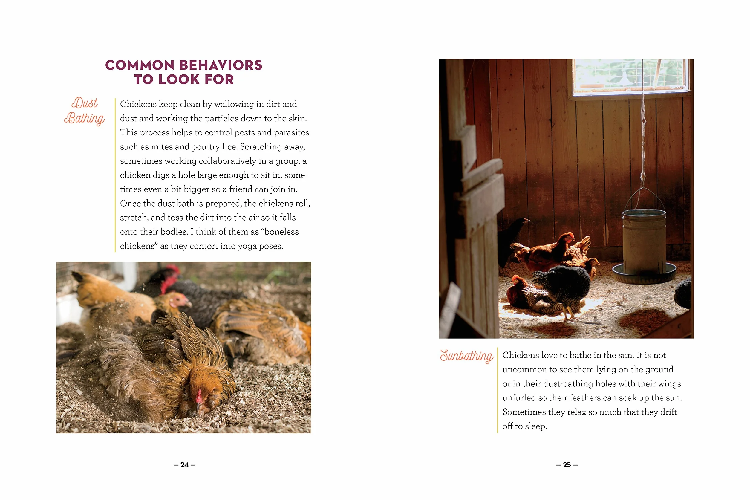 How to Speak Chicken: Why Your Chickens Do What They Do & Say What They Say