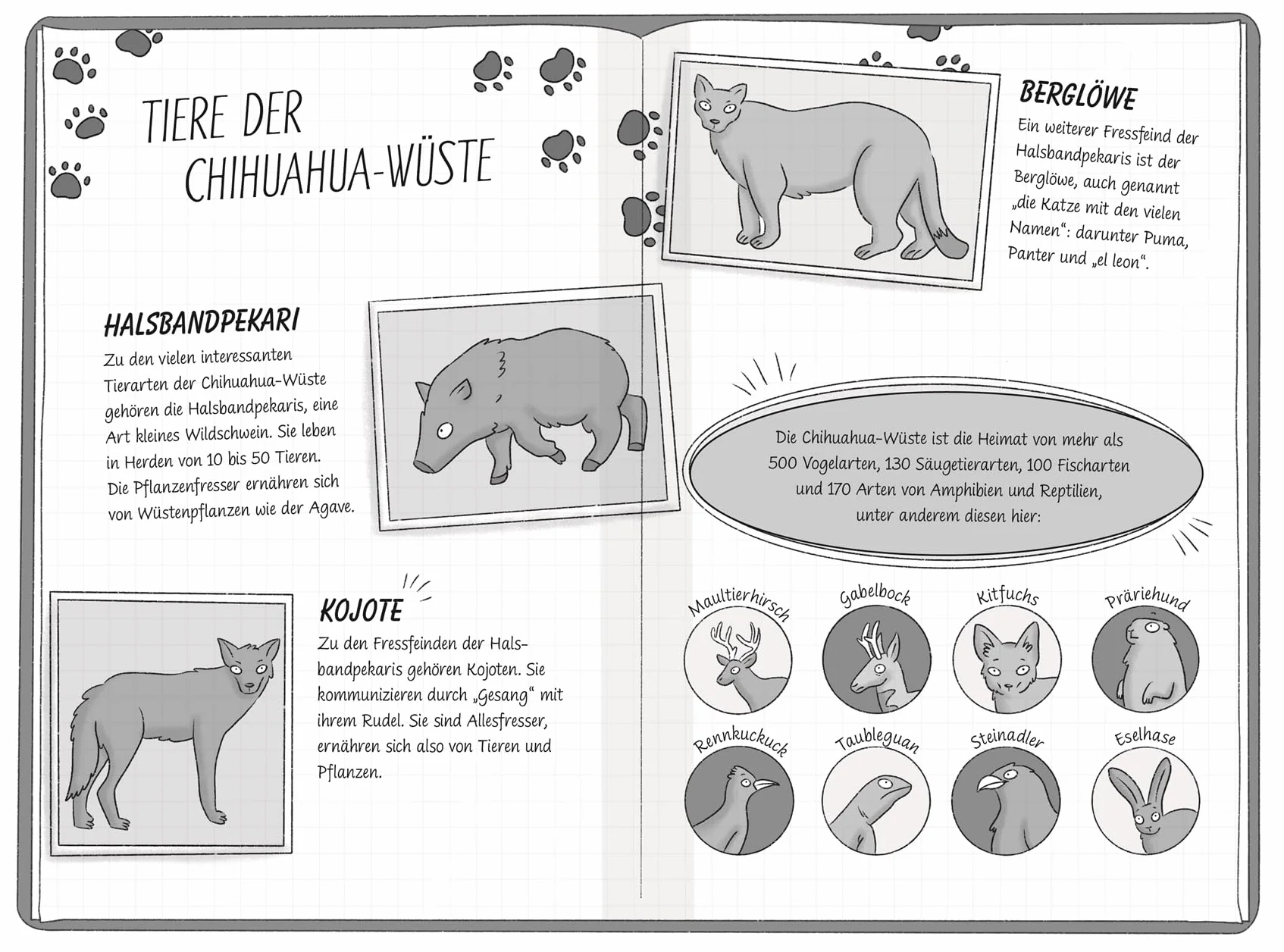 Ein Fall für die Forscher-Kids 11. Flucht vor dem Sandsturm: Eine Abenteuergeschichte voller Action, Magie und spannendem Wissen. Für Kinder ab 7 Jahren
