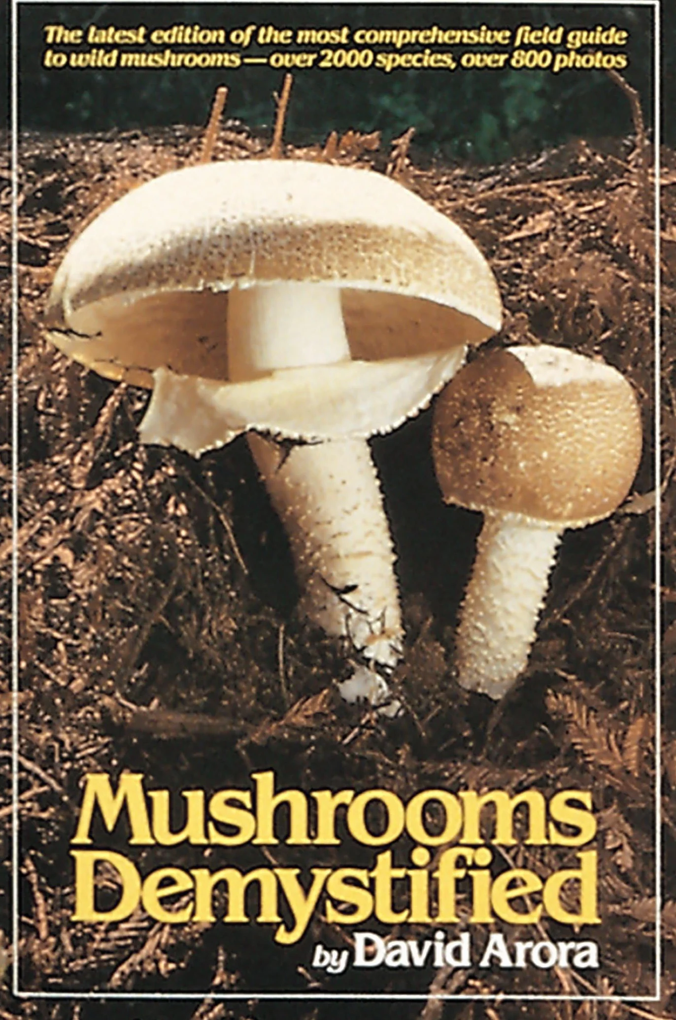Mushrooms Demystified: A Comprehensive Guide to Fleshy Fungi